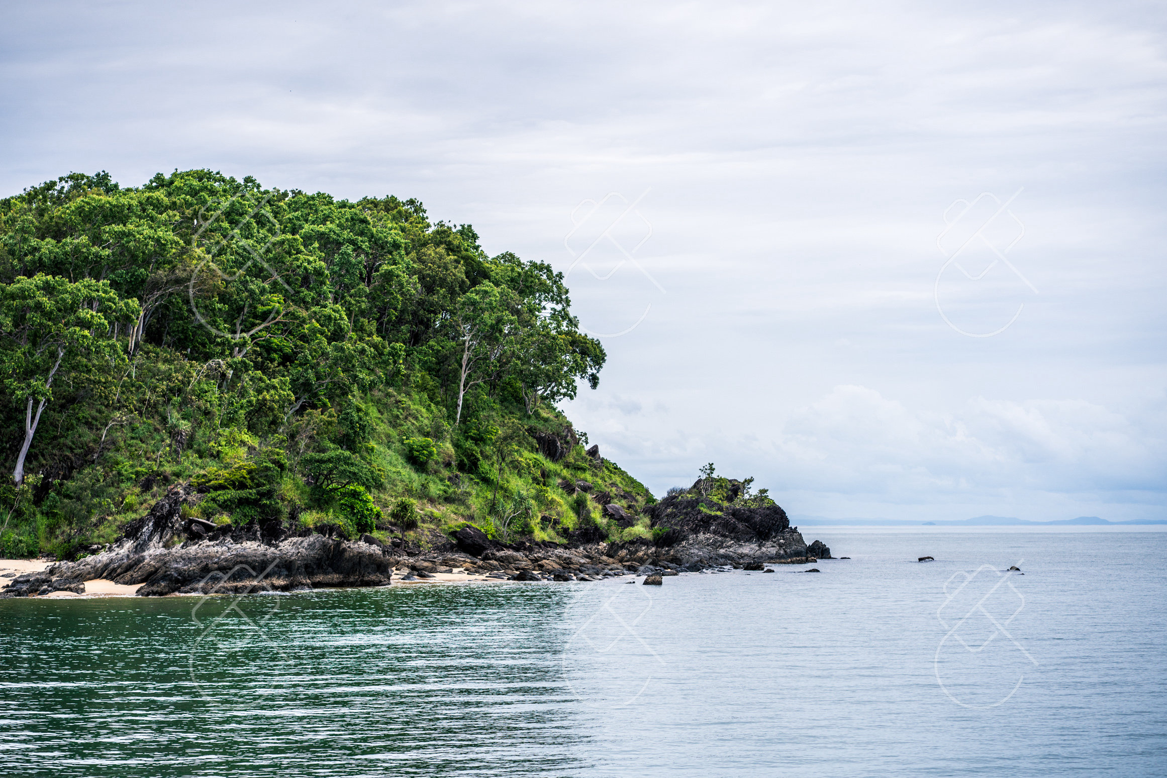 Daintree, Australia, February 2023