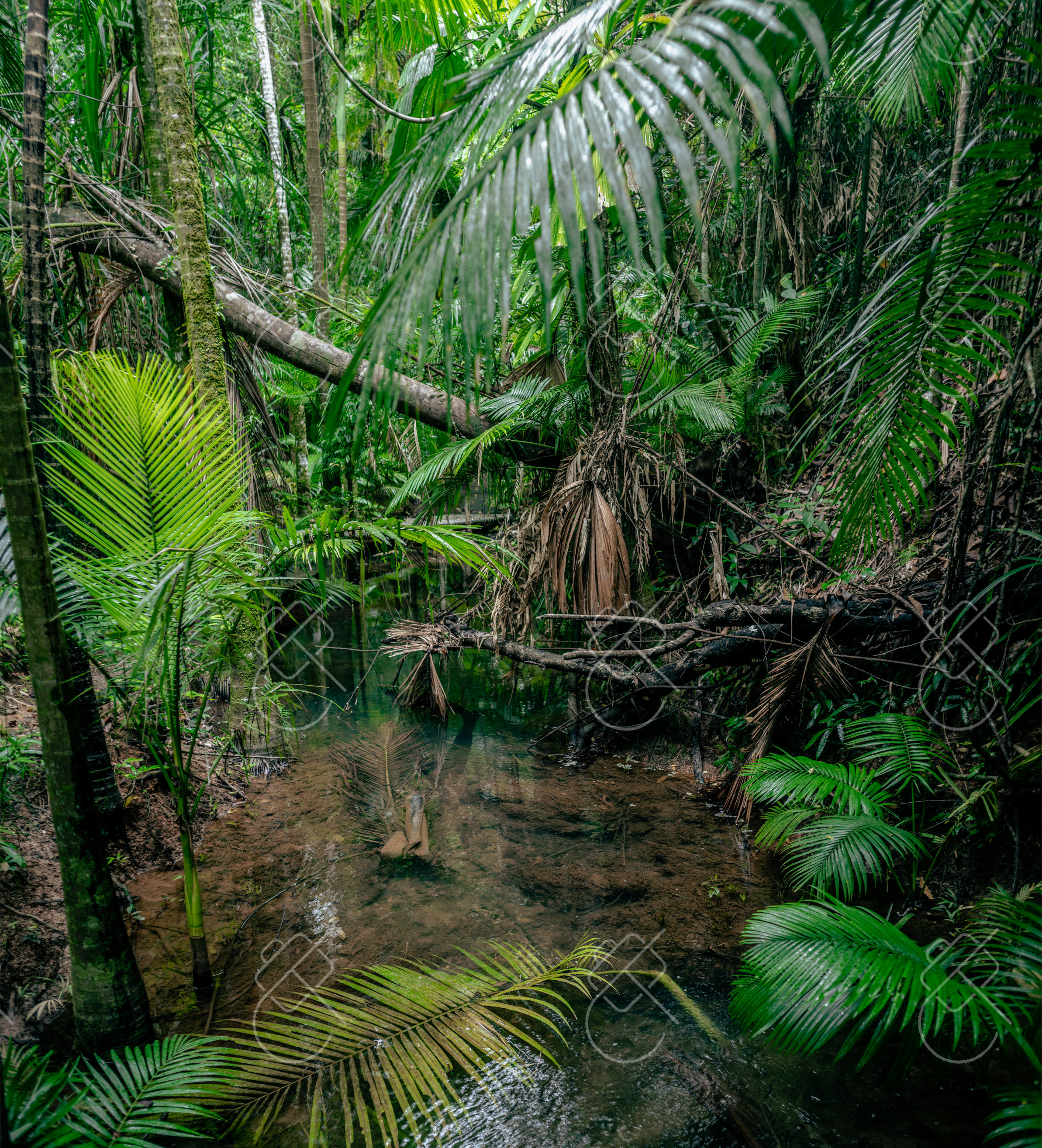 What to Pack for Australia: Packing List, Biosecurity Rules and Sun