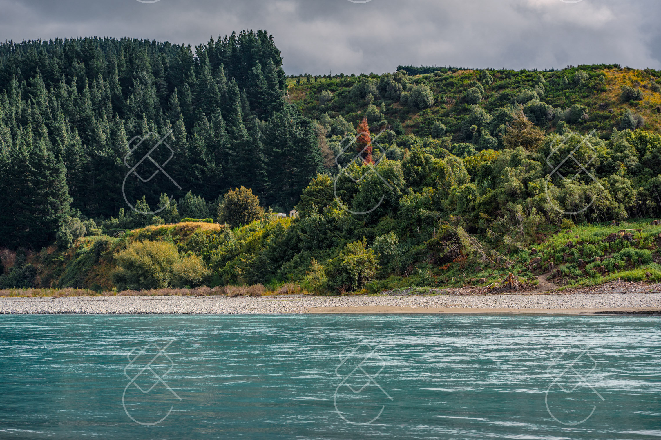 Milford Sound Cruise Prices: Driving Yourself vs the Coach from Te Anau or Queenstown