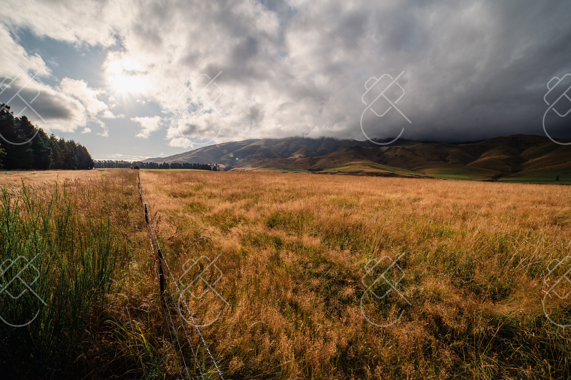 Rakaia Gorge, New Zealand, February 2023