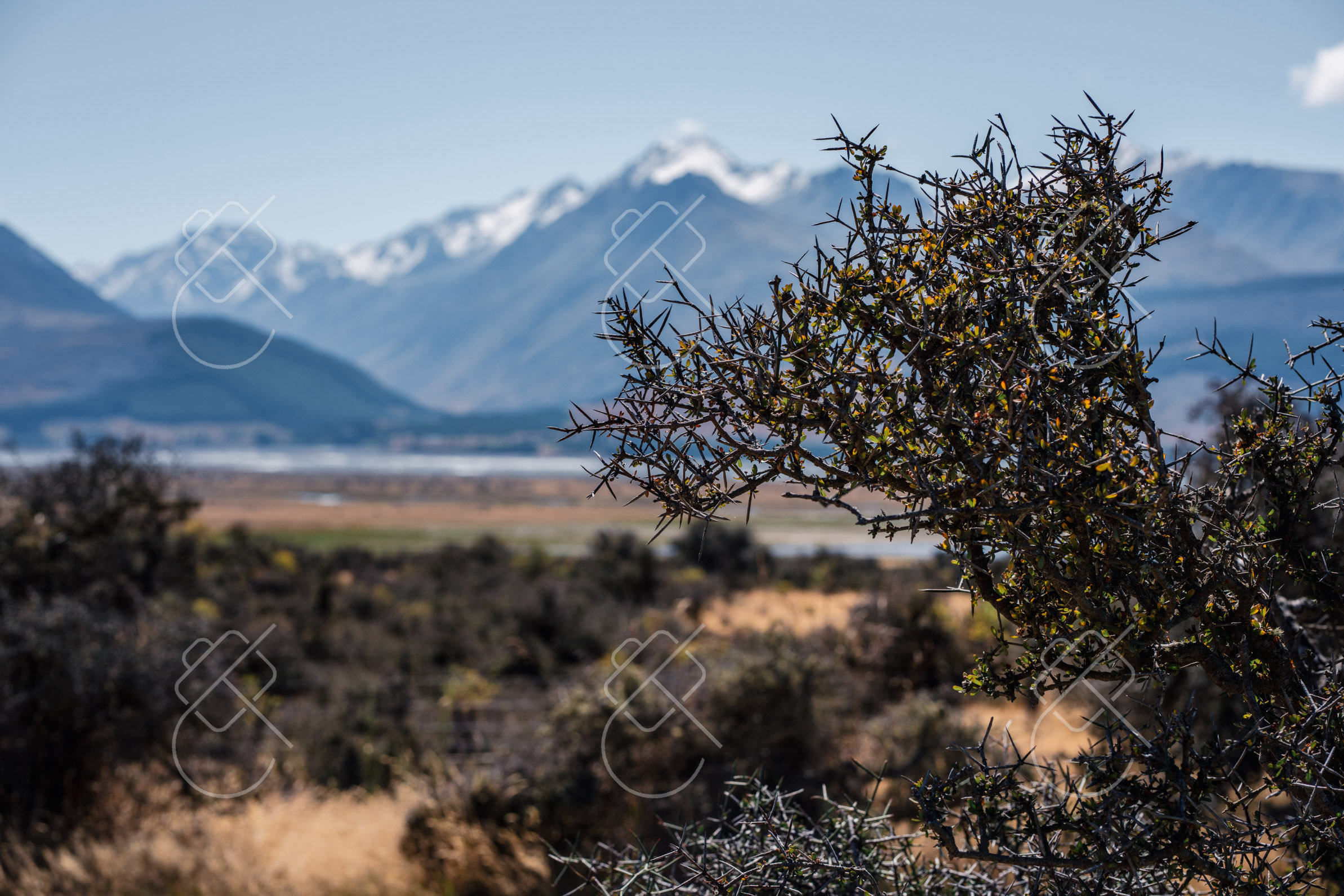 Lake Pukaki, New Zealand, February 2023