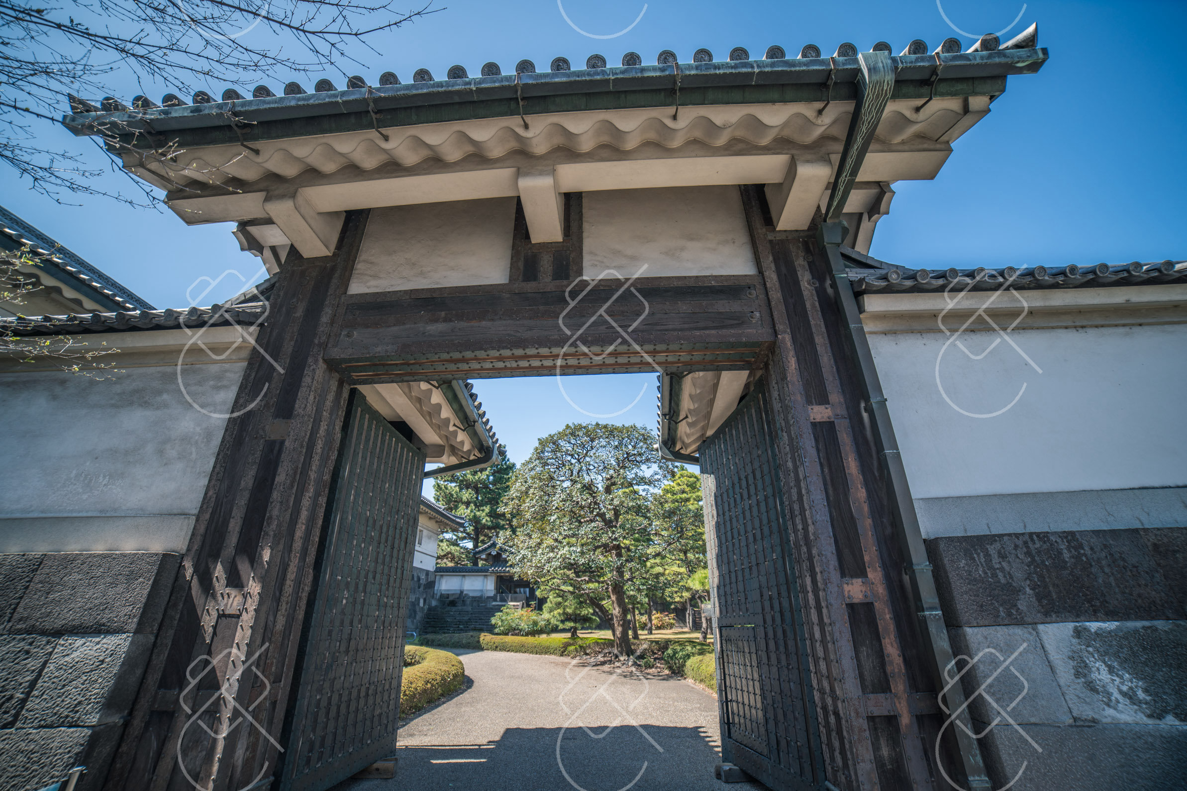 Japan JESTA: What We Know About the 2028 Pre-Travel Authorization