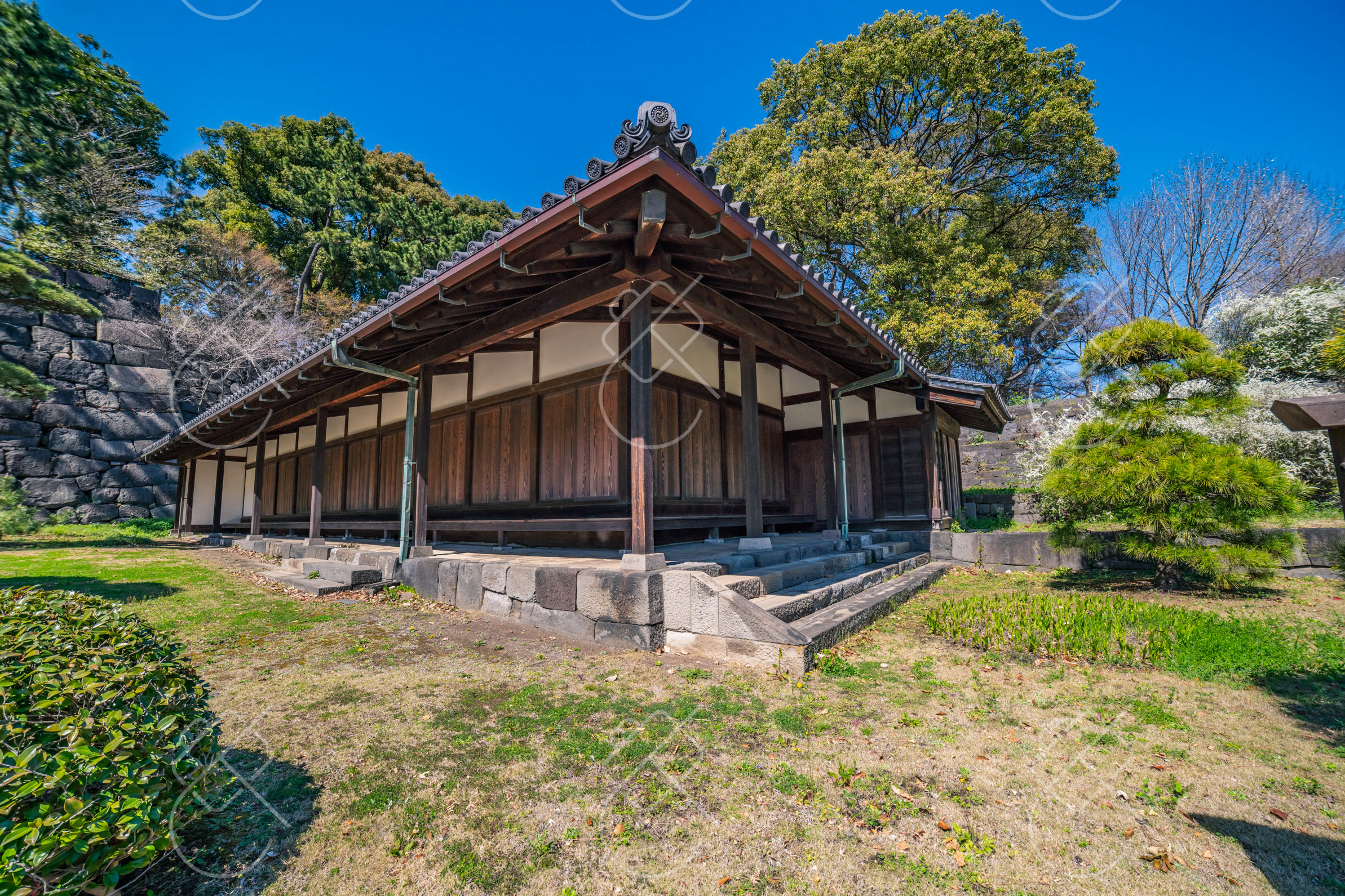 View & buy this print Tokyo, Japan — Travel