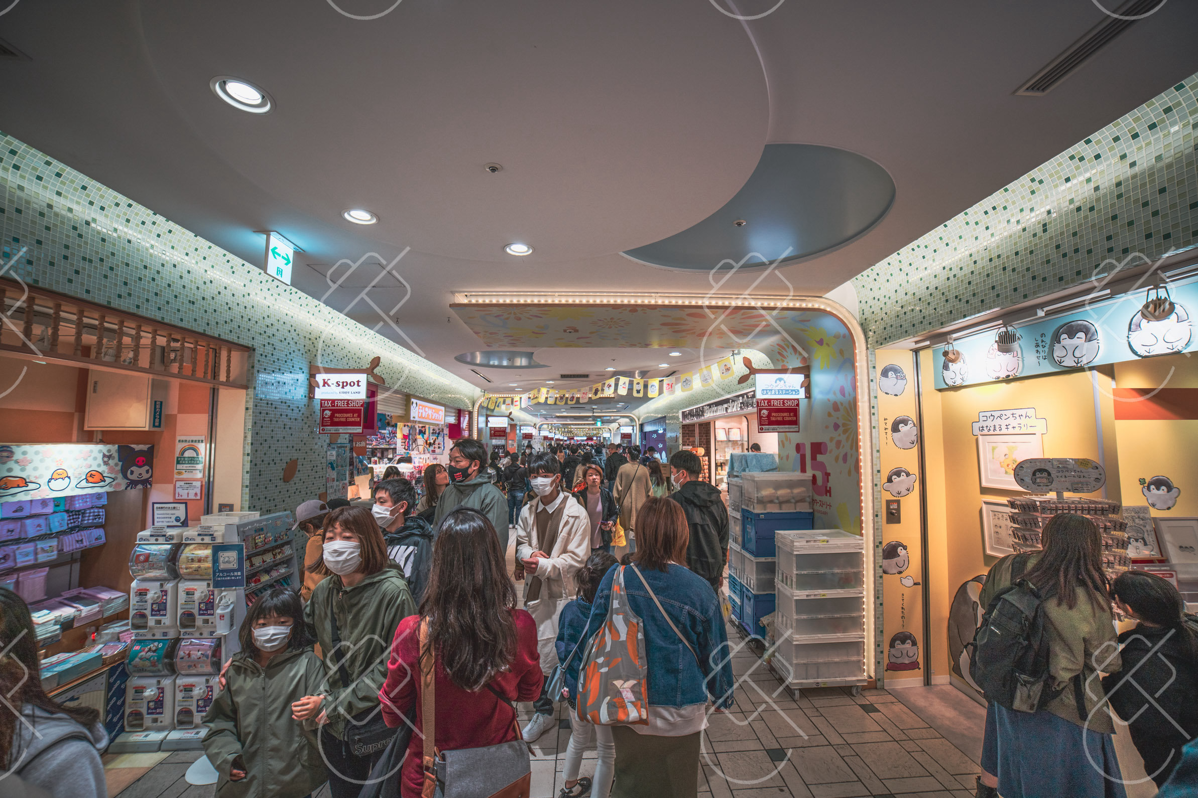 Best Time to Visit Tokyo: Cherry Blossoms, Autumn, and the Weeks to Avoid