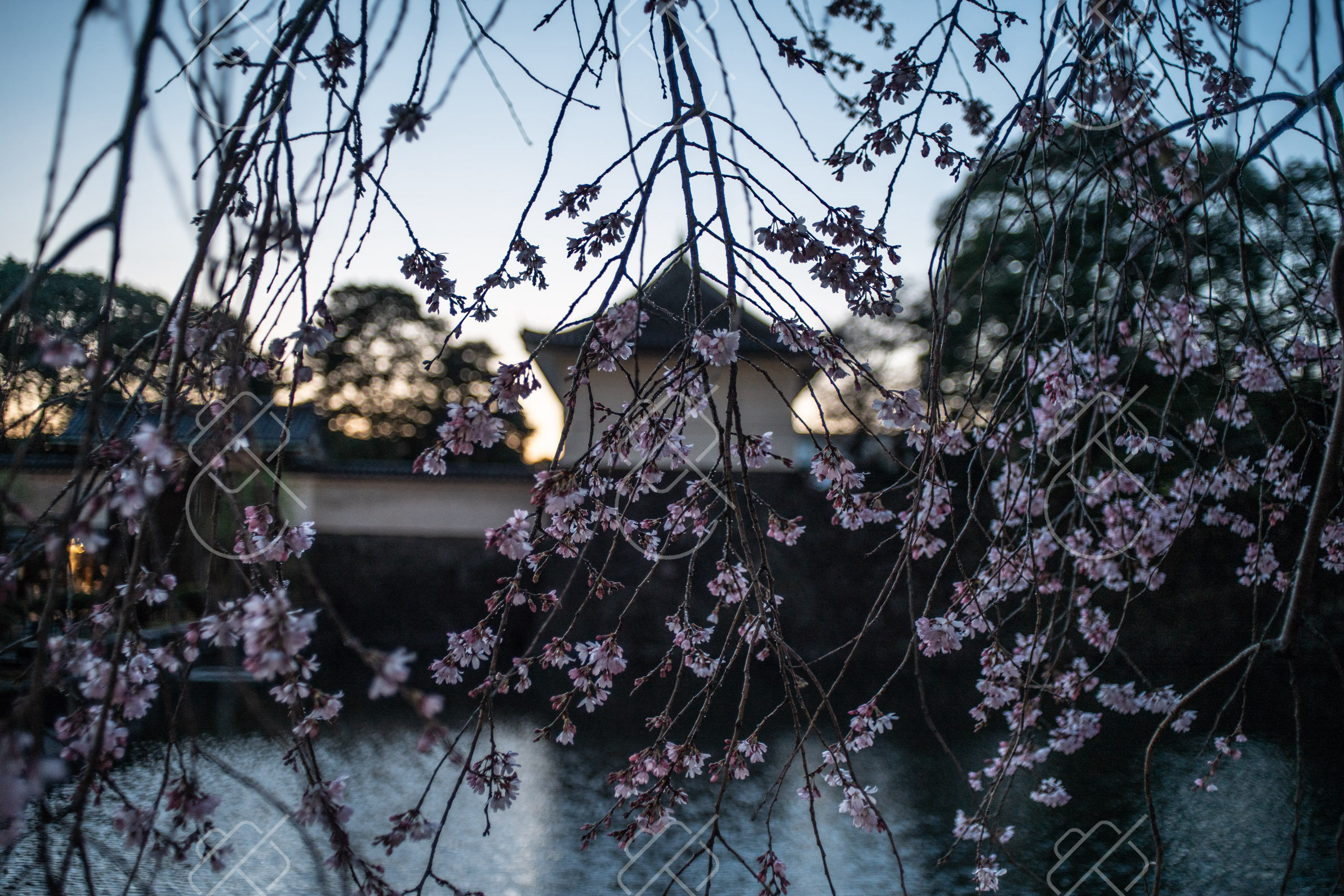 Tokyo, Japan, March 2023