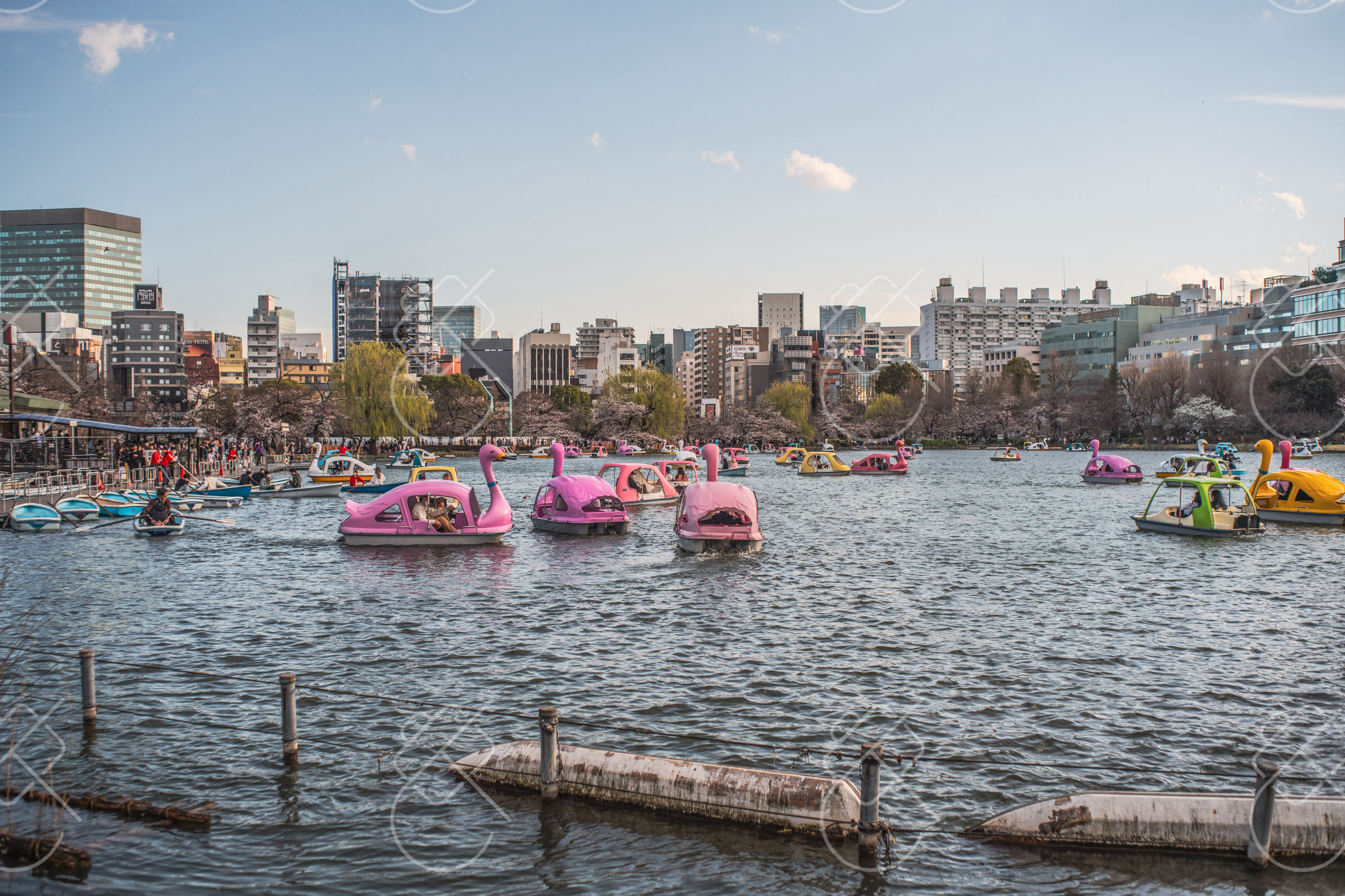Tokyo, Japan, March 2023