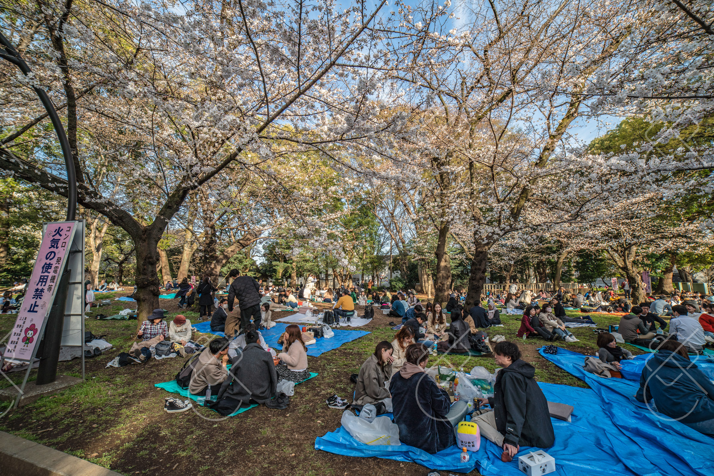 View & buy this print Ueno & Yanaka — fine art travel photography print available from Clever Tourists