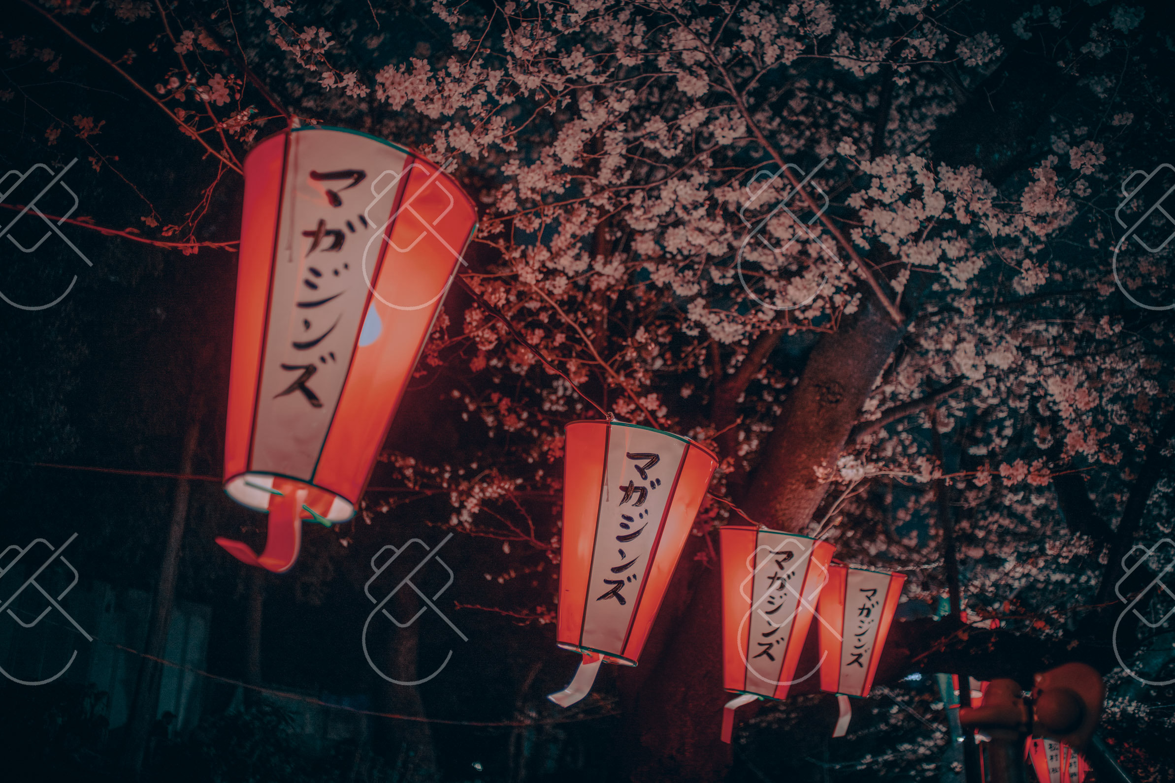 Tokyo, Japan, March 2023