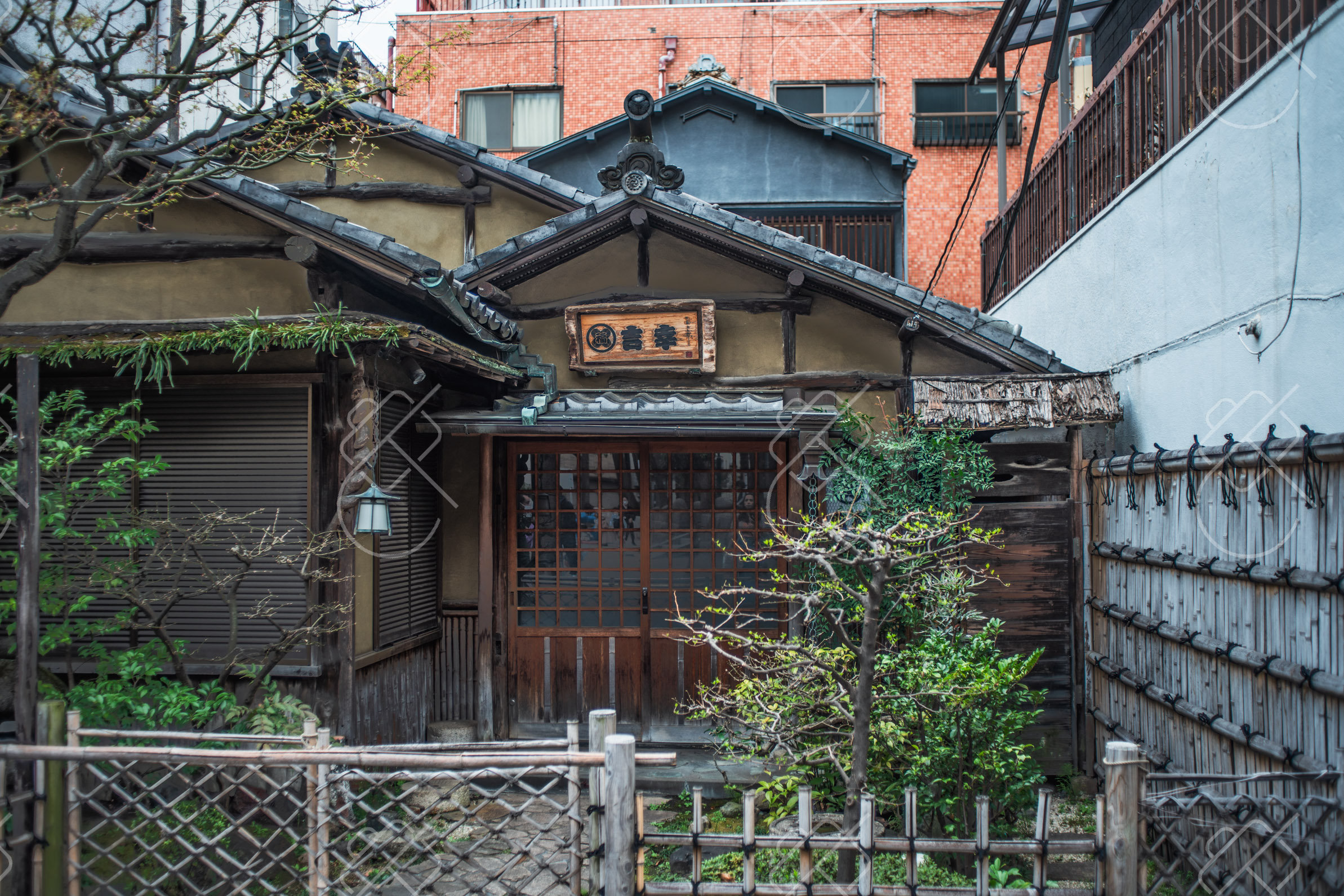 Tokyo, Japan, March 2023