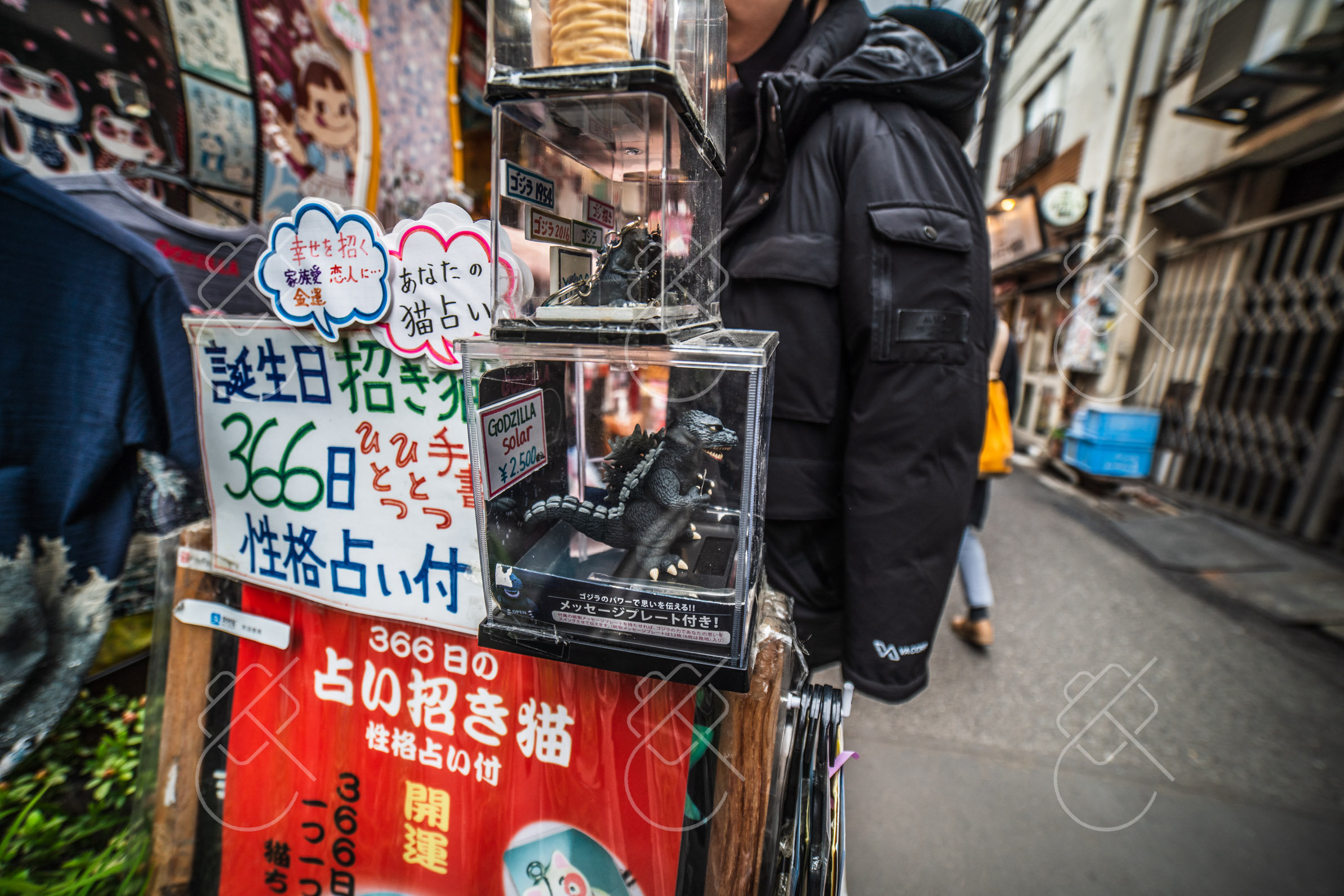 Tokyo, Japan, March 2023
