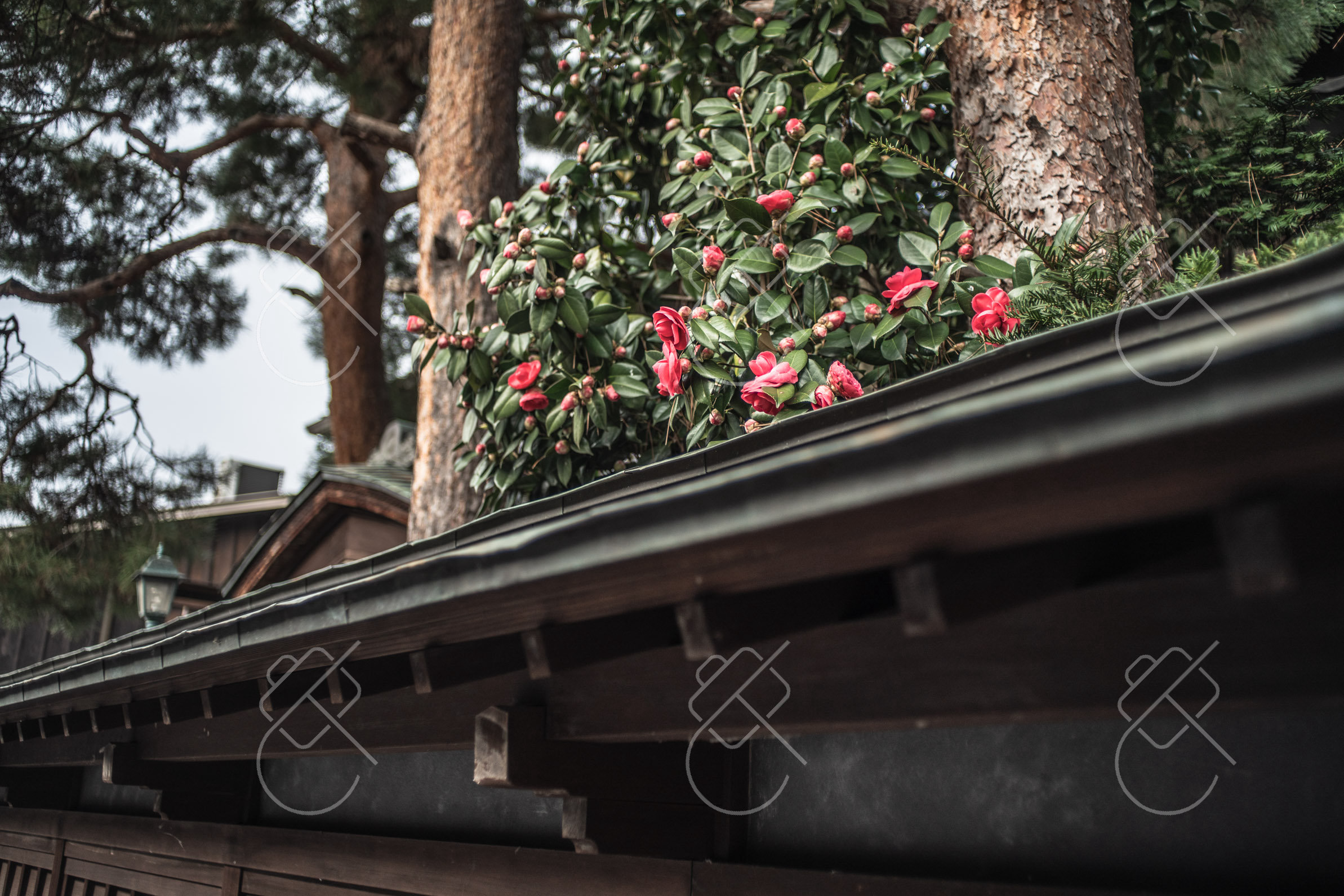 Takayama, Japan, March 2023
