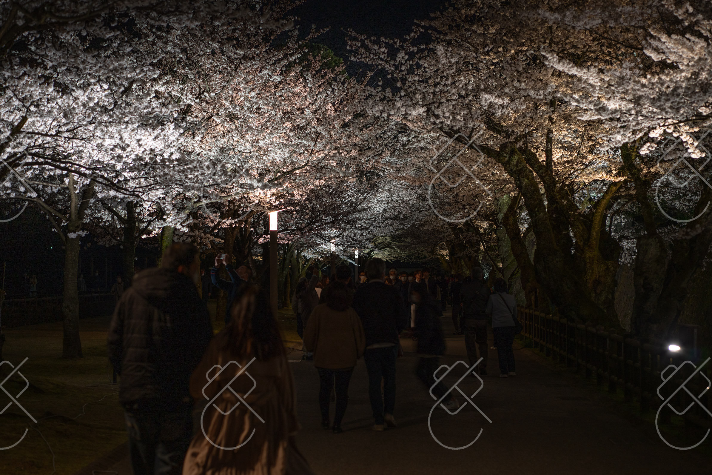 Kanazawa, Japan, April 2023