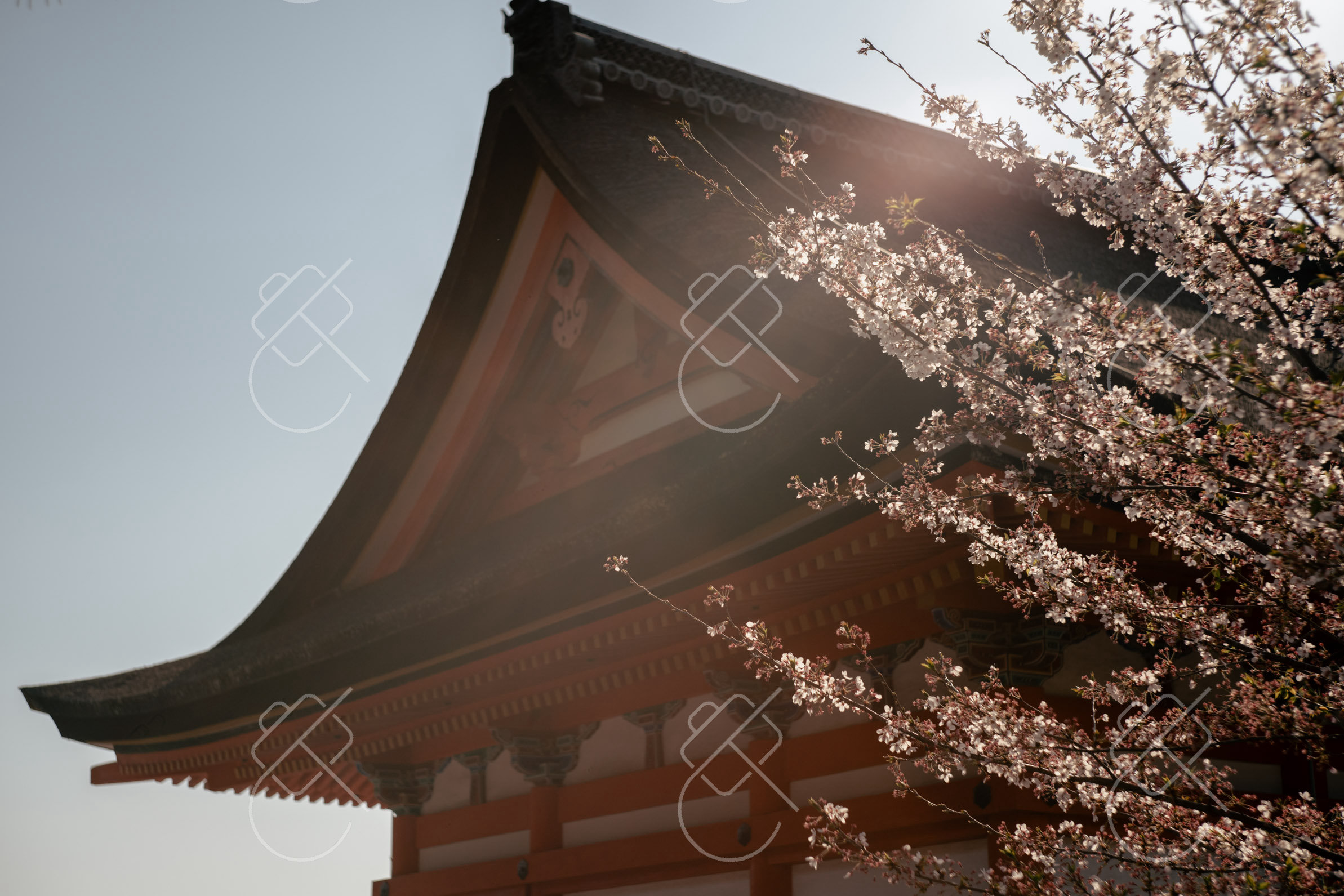 Kyoto, Japan, April 2023