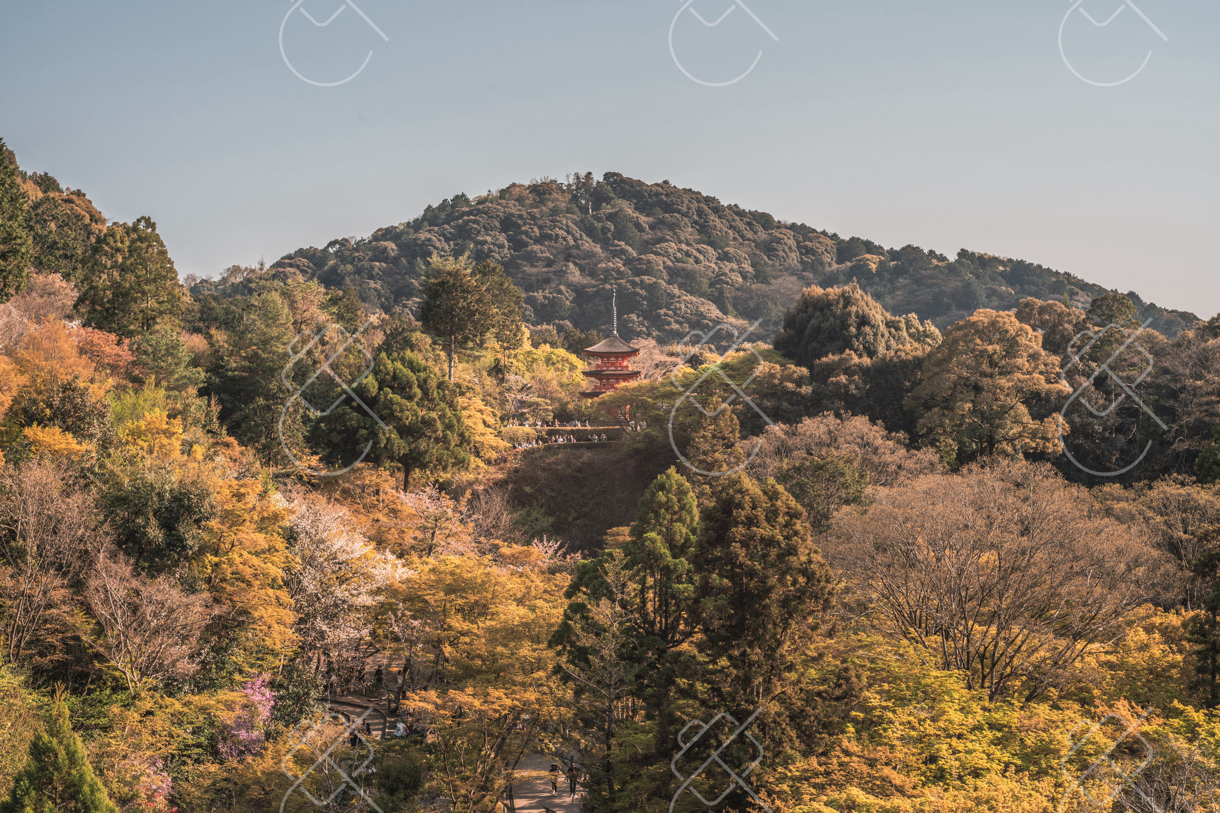 Kyoto, Japan, April 2023
