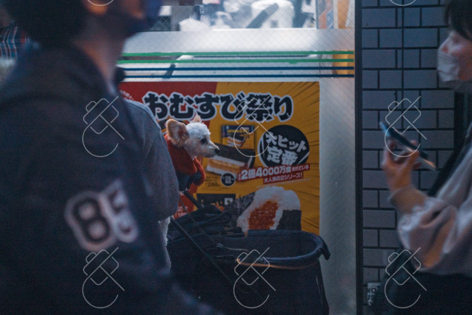 Kyoto, Japan, April 2023