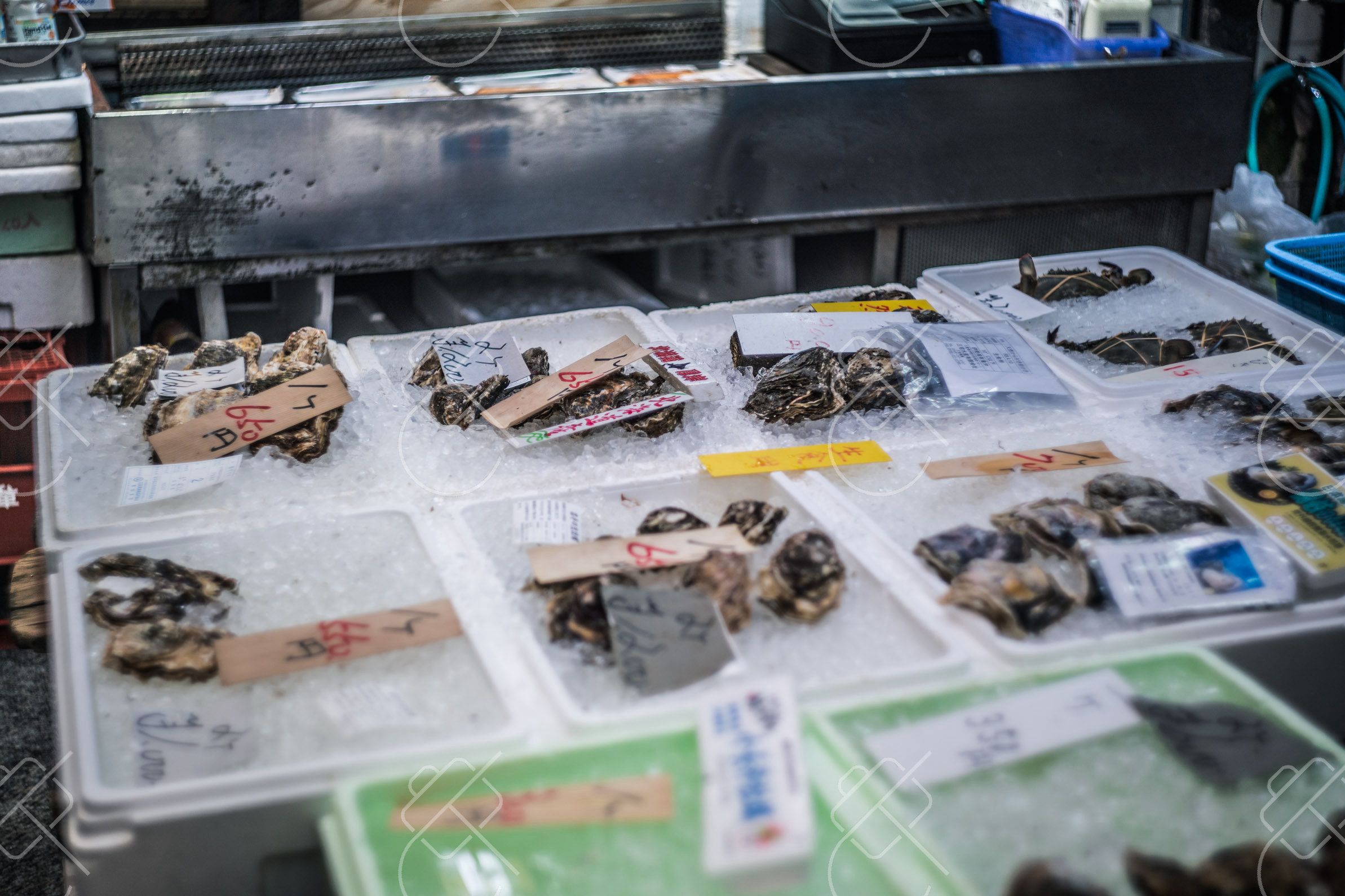Osaka, Japan, April 2023