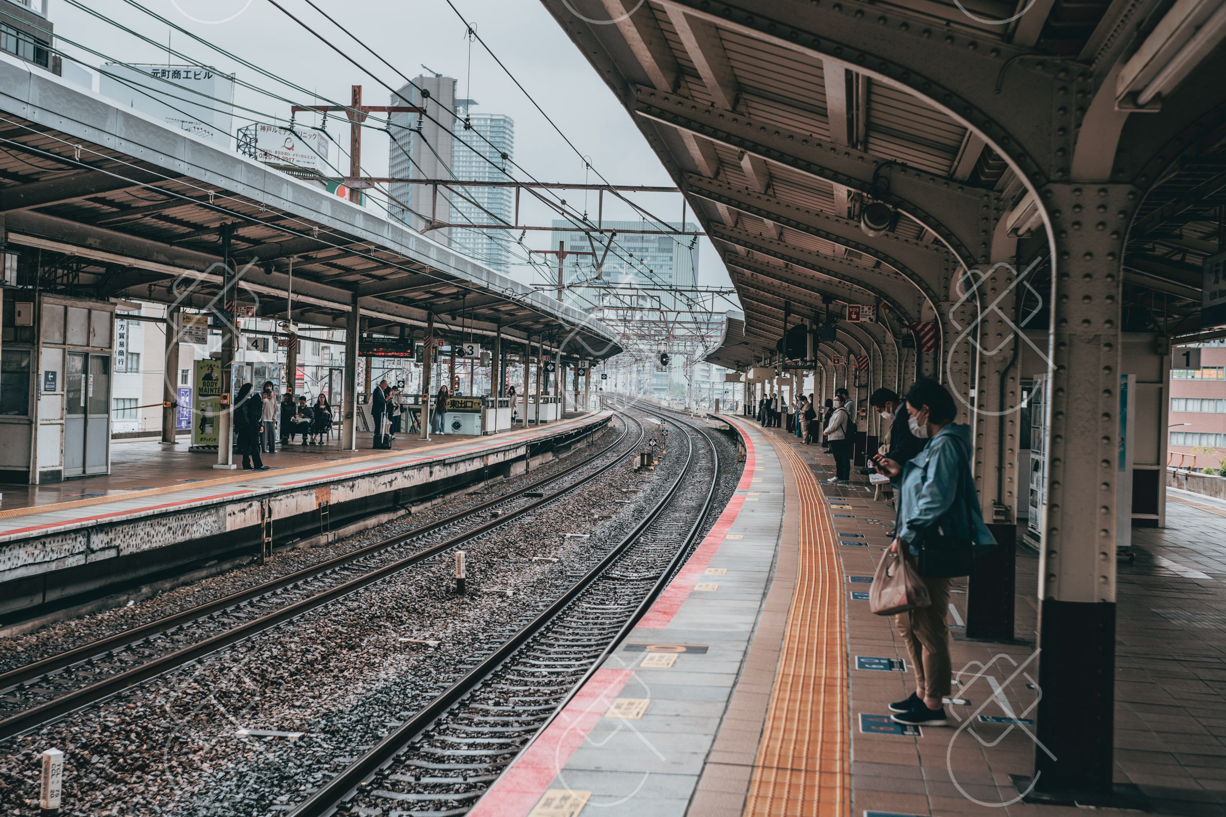 Is the JR Pass Worth It in 2026? Route-by-Route Fares vs the ¥50,000 Pass