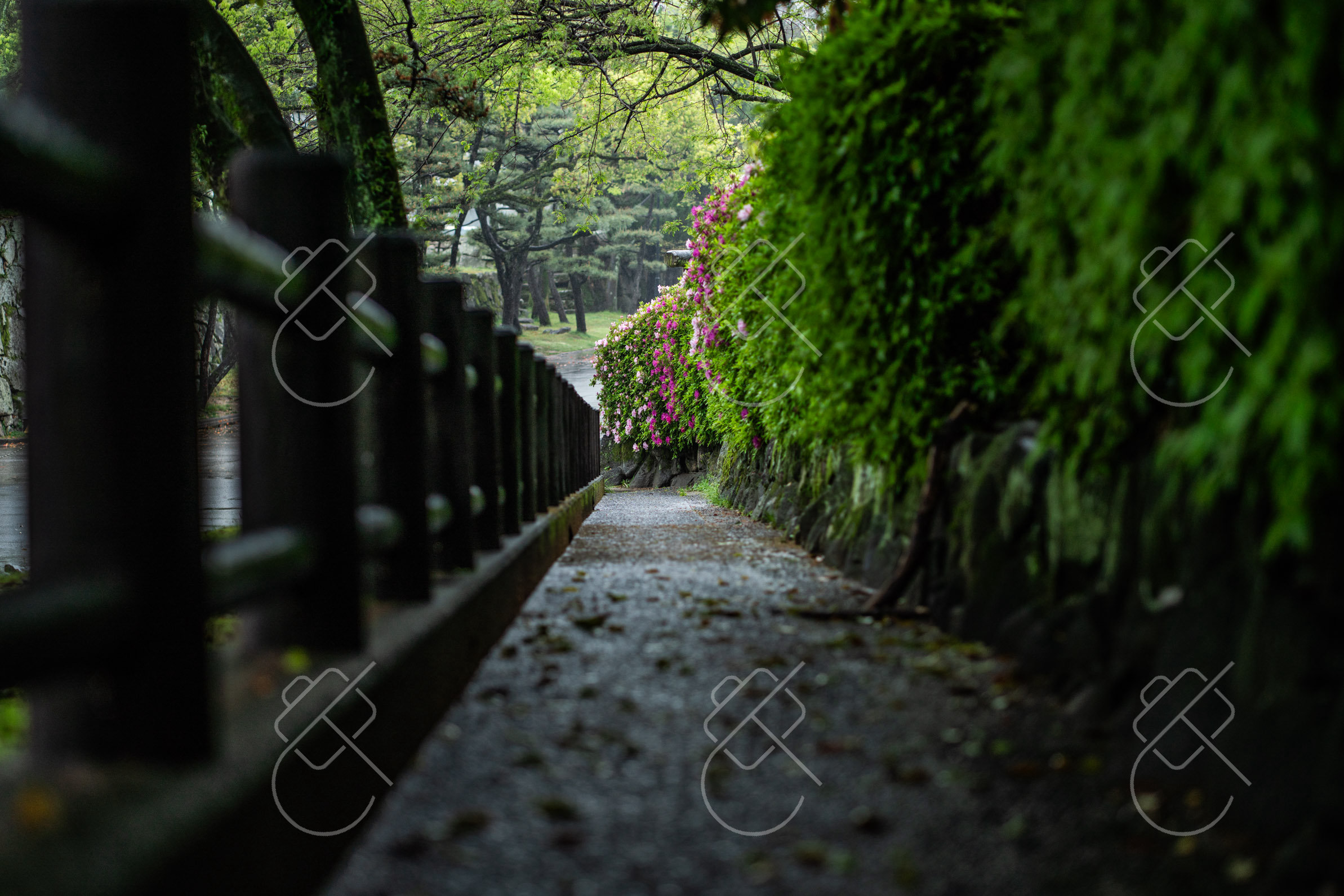 Tokyo, Japan, April 2023