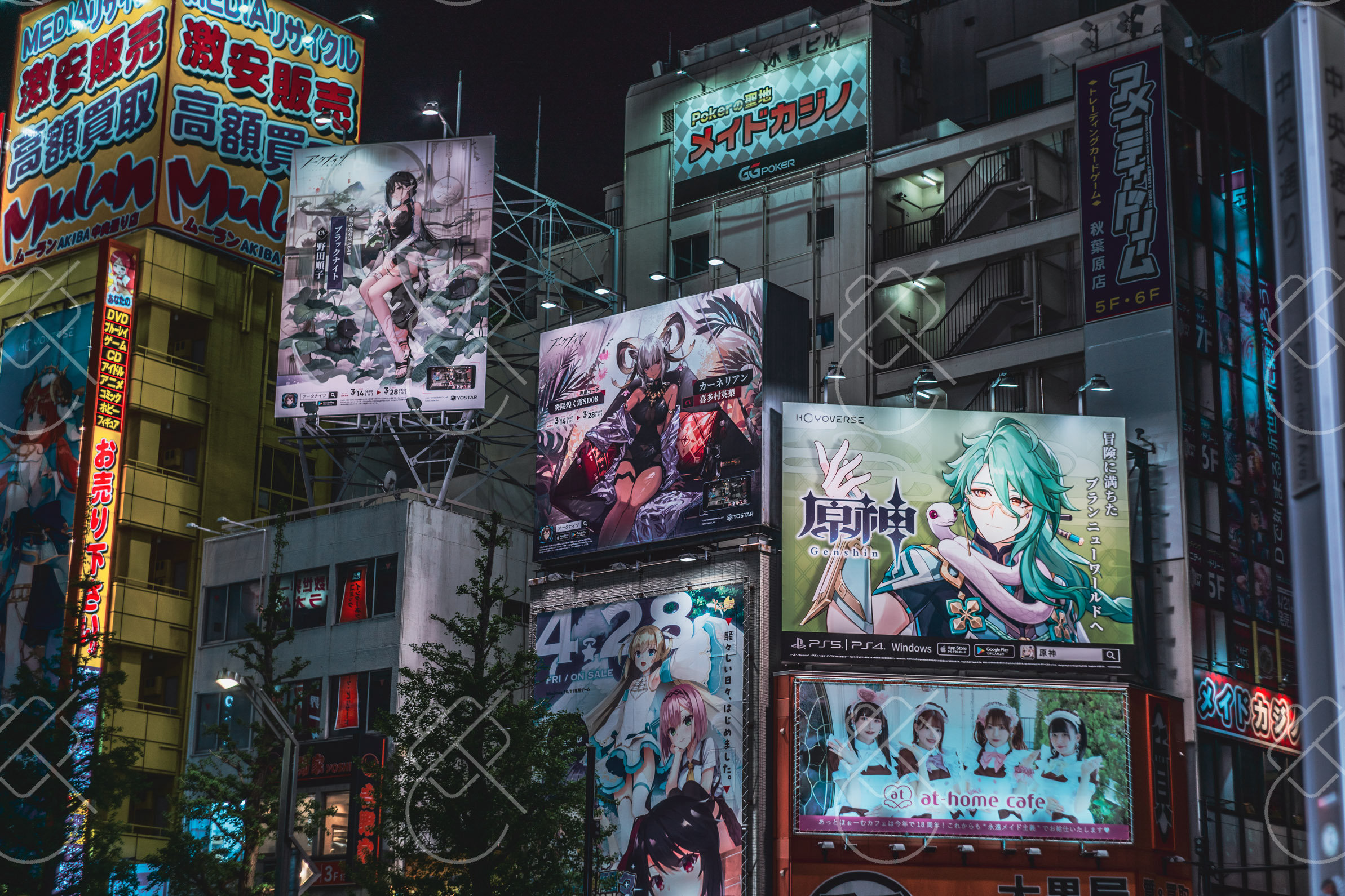 Tokyo, Japan, April 2023
