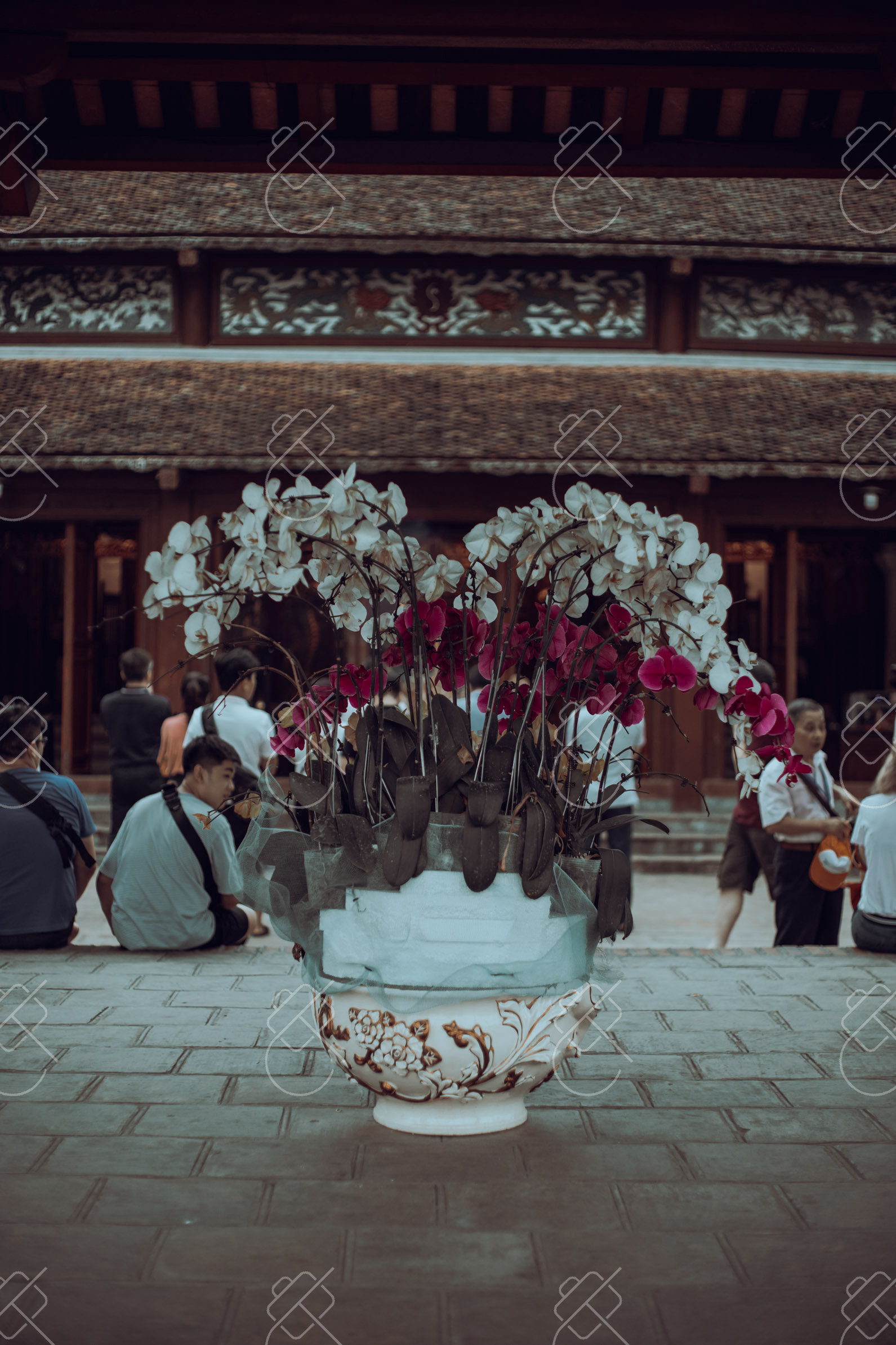 Vietnam e-Visa: The Official Site, the US$25 Fee and How to Apply Without Mistakes
