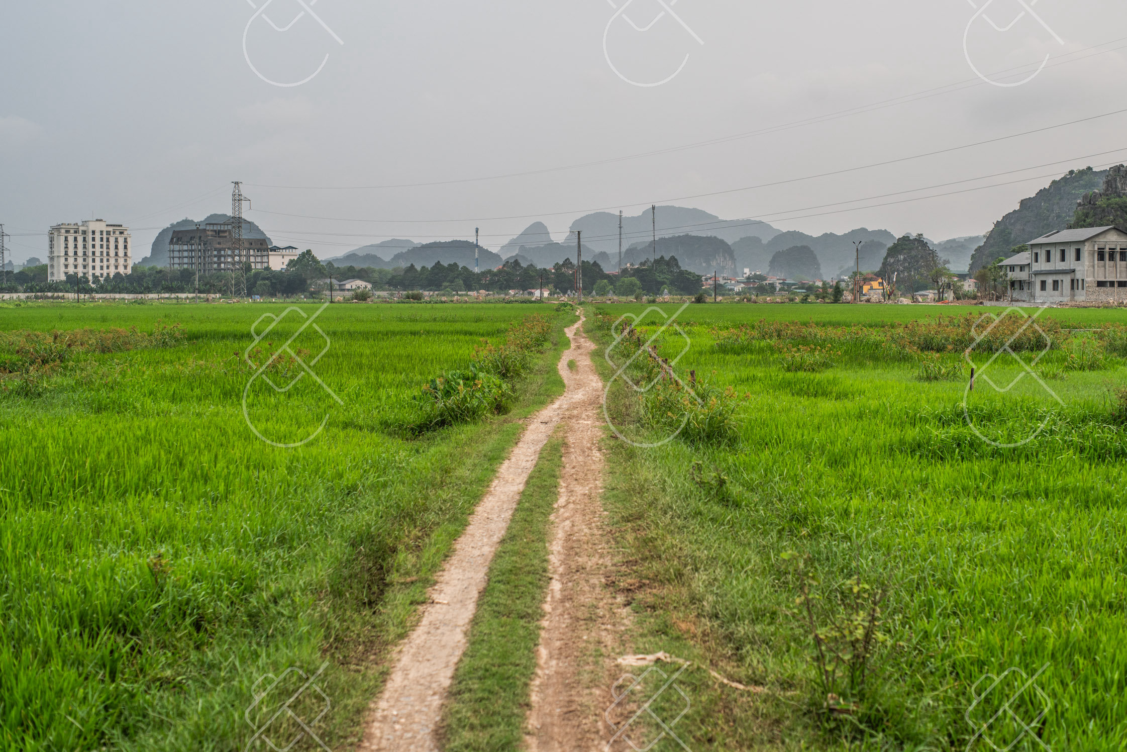 View & buy this print Tam Coc, Bich Dong & the countryside
