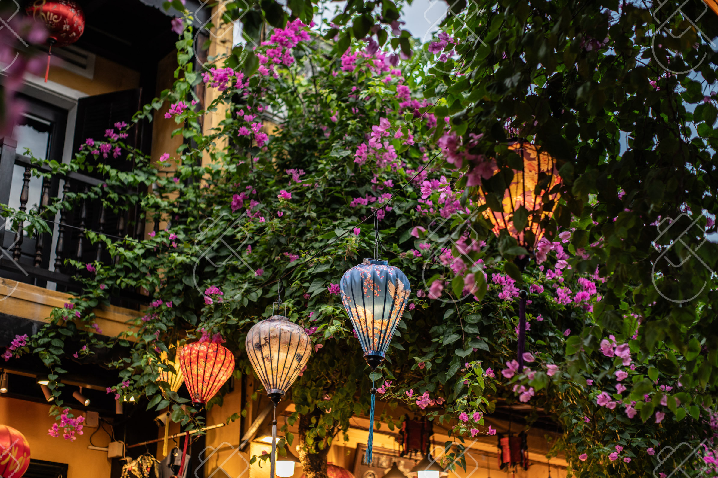 17 Things to Know Before Visiting Vietnam (2026)