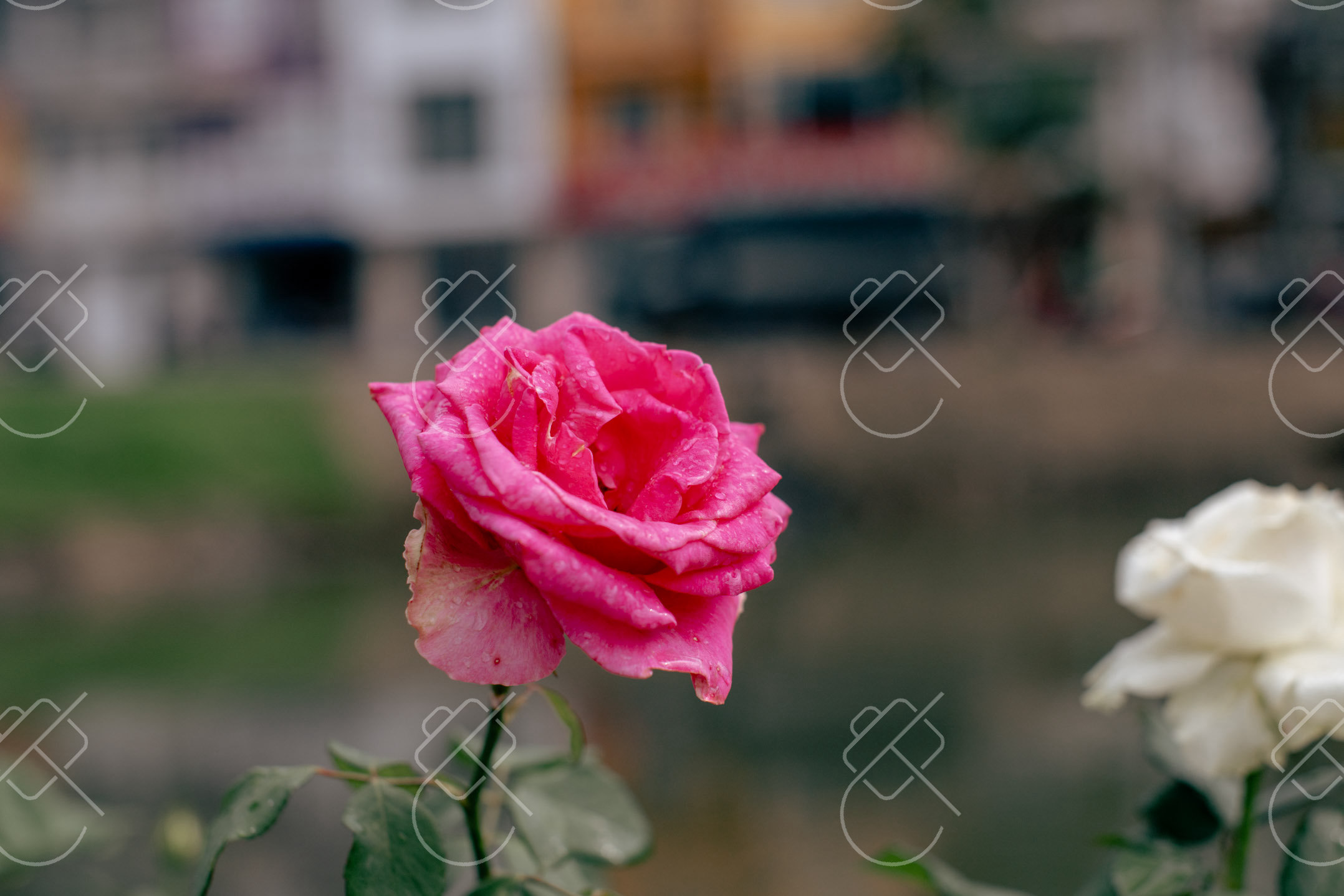 Da Lat, Vietnam, May 2023