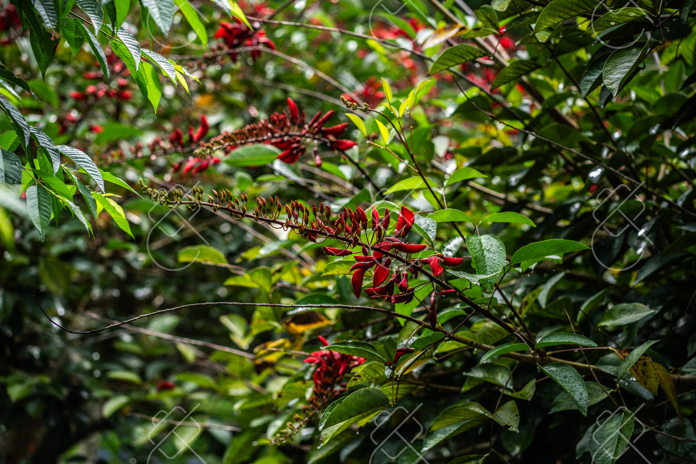 Da Lat, Vietnam, May 2023