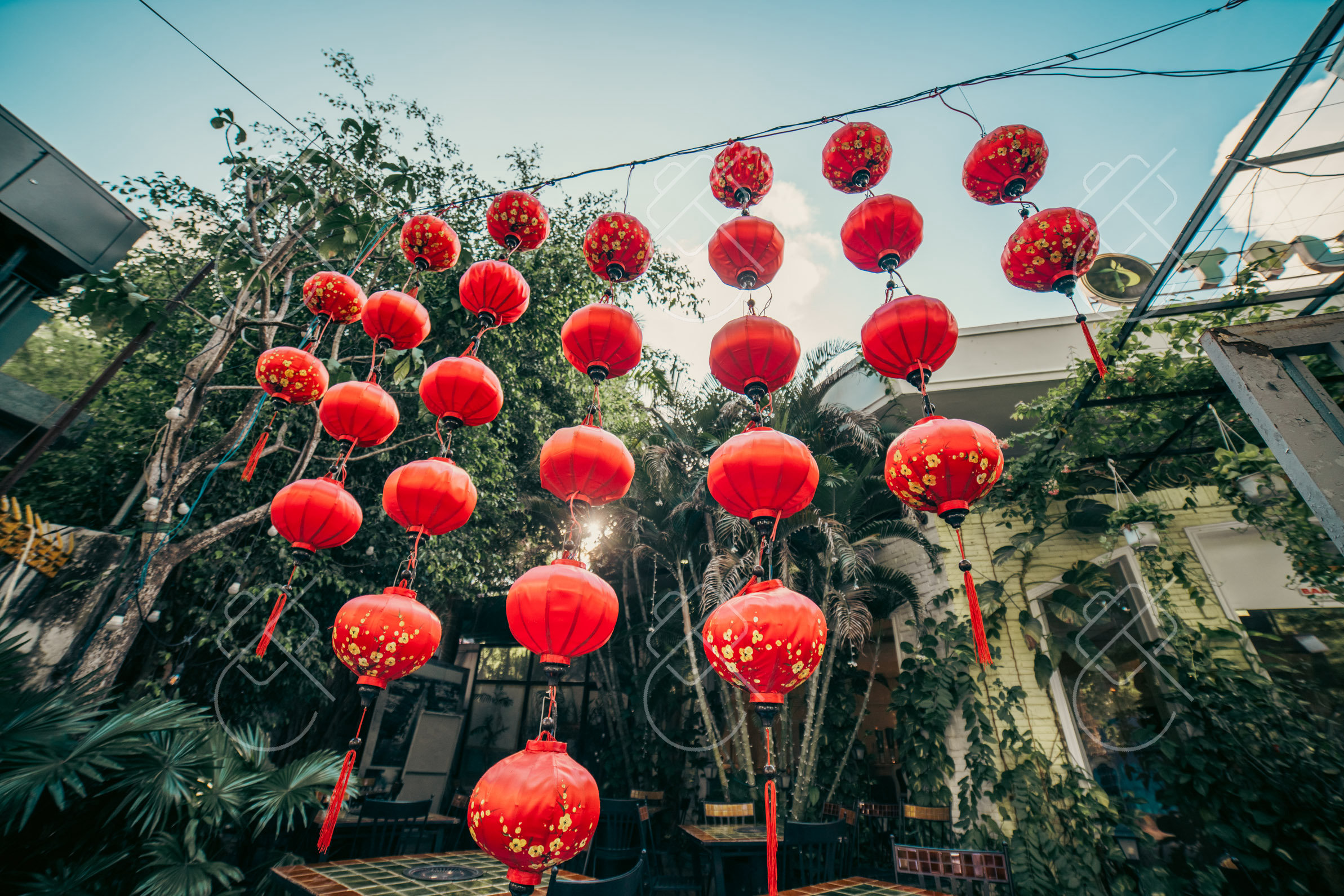 Best Time to Visit Ho Chi Minh City (Saigon) and the Mekong Delta