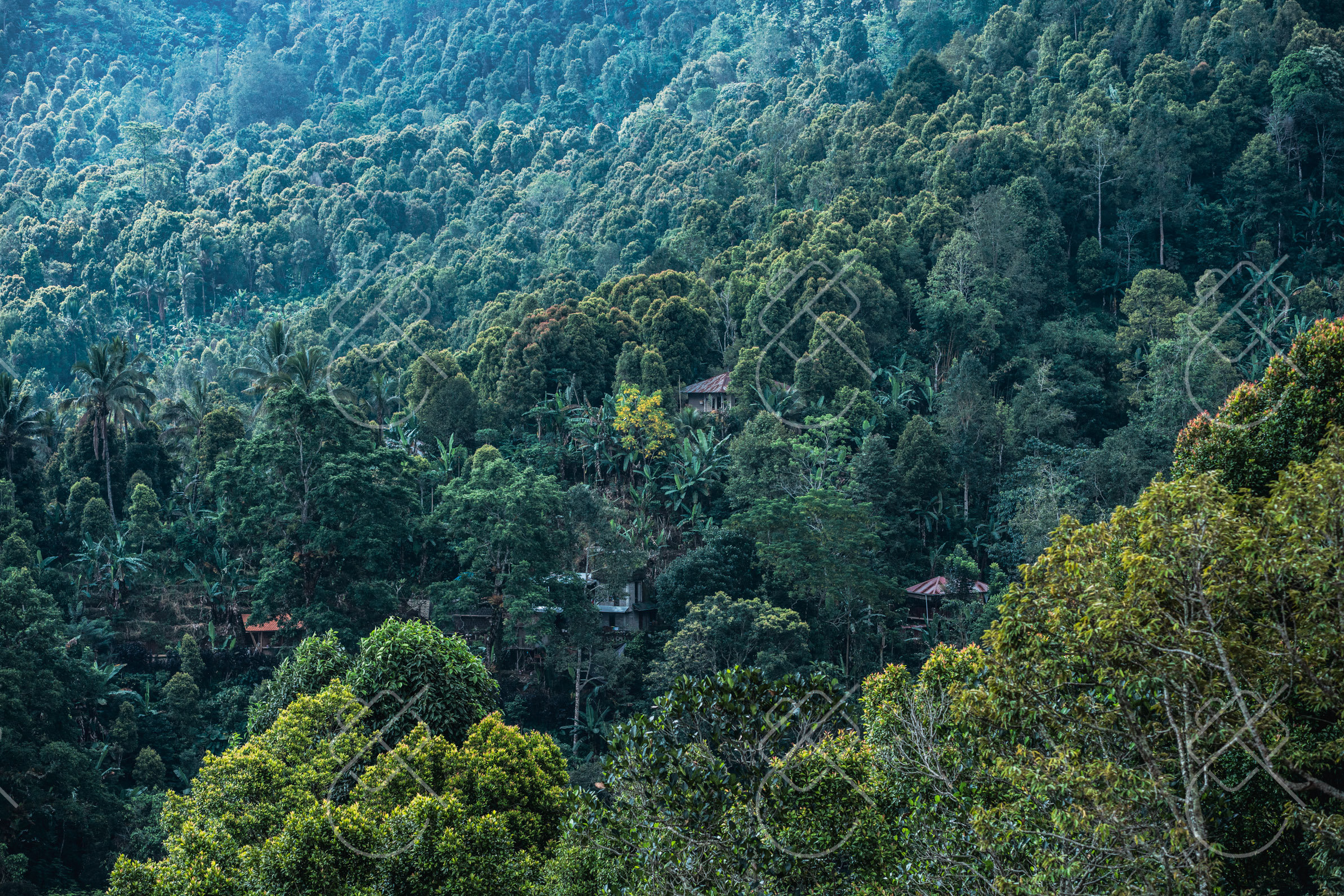 Munduk, Indonesia, May 2023