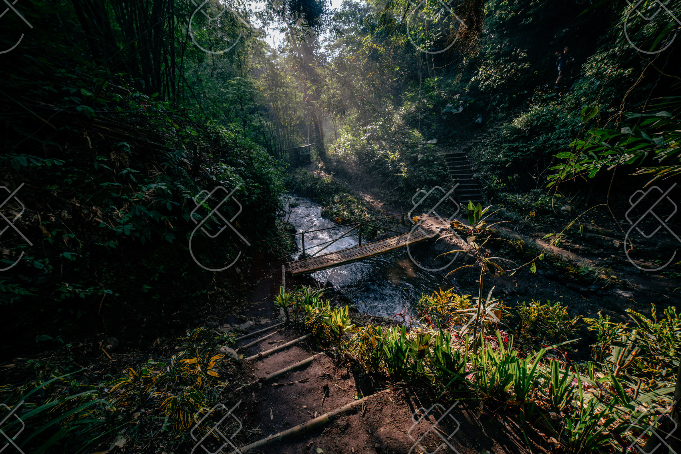 Munduk, Indonesia, May 2023