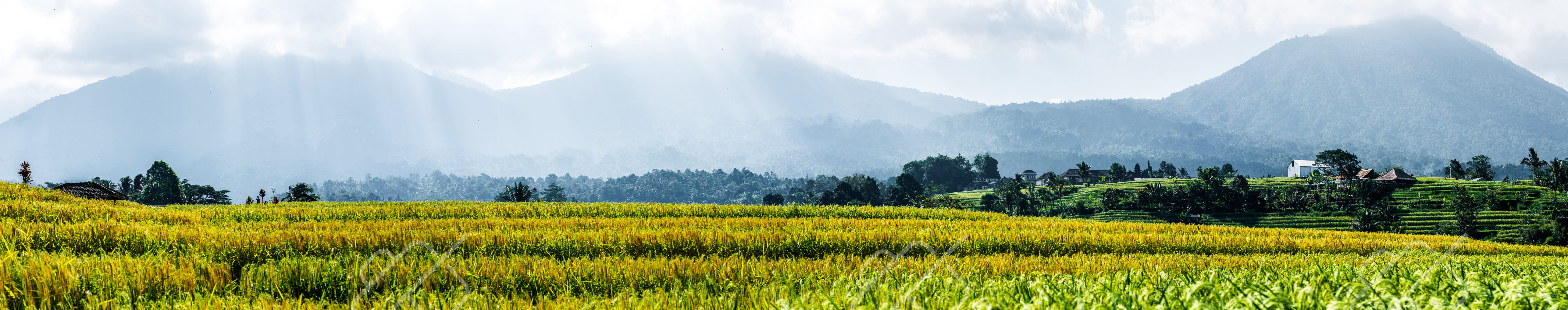 View & buy this print Ubud — fine art travel photography print available from Clever Tourists