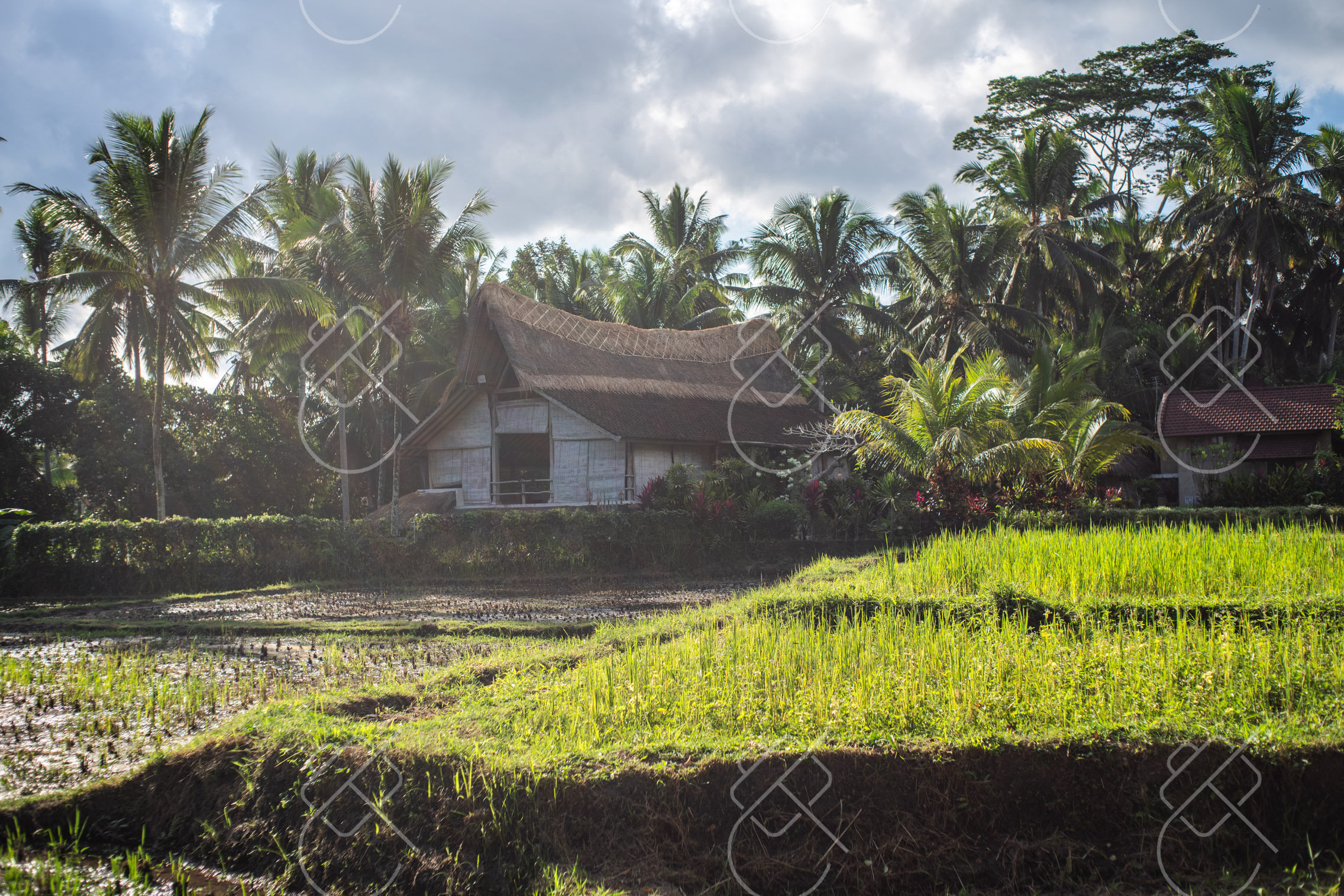 Ubud, Indonesia, May 2023