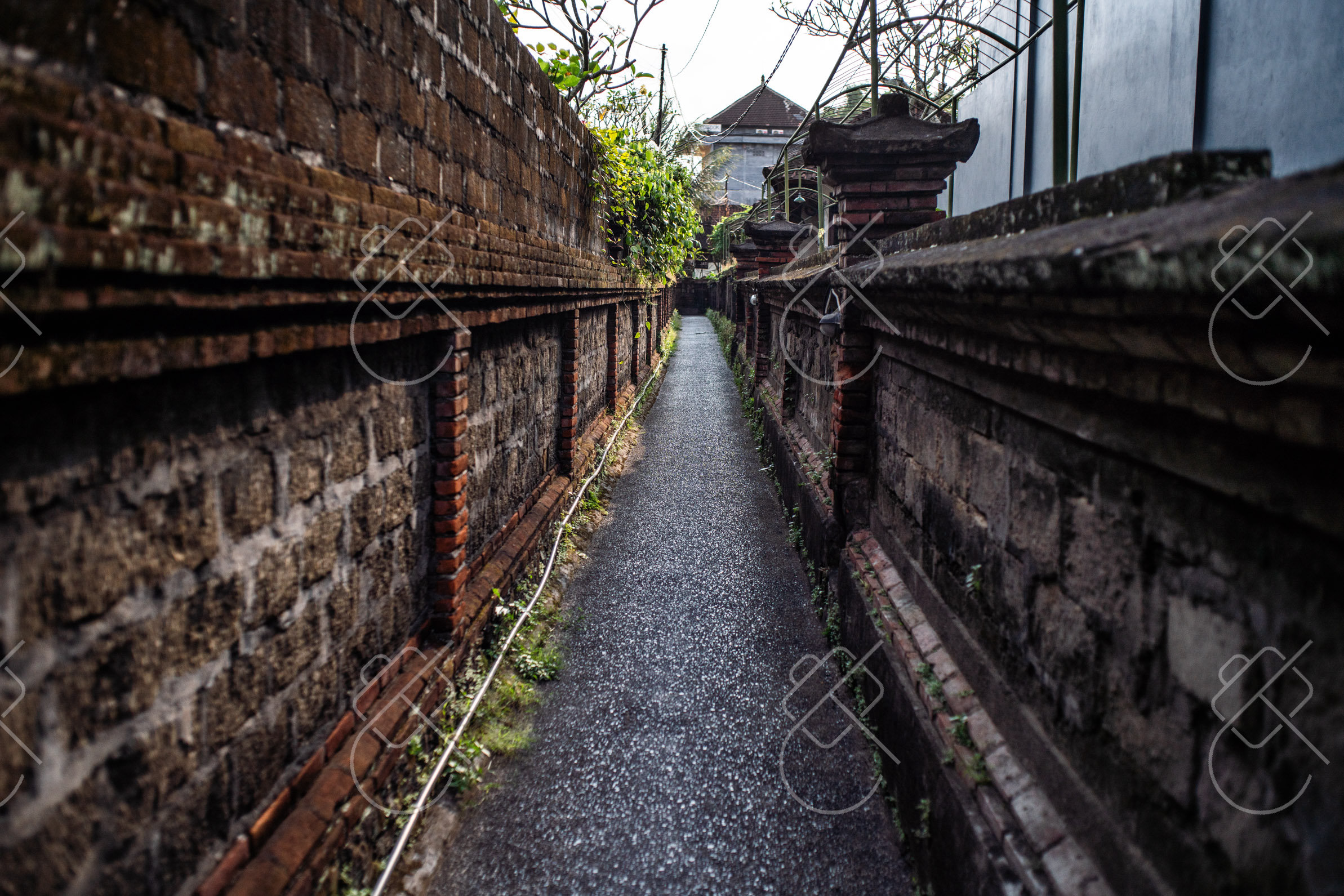 Ubud, Indonesia, May 2023