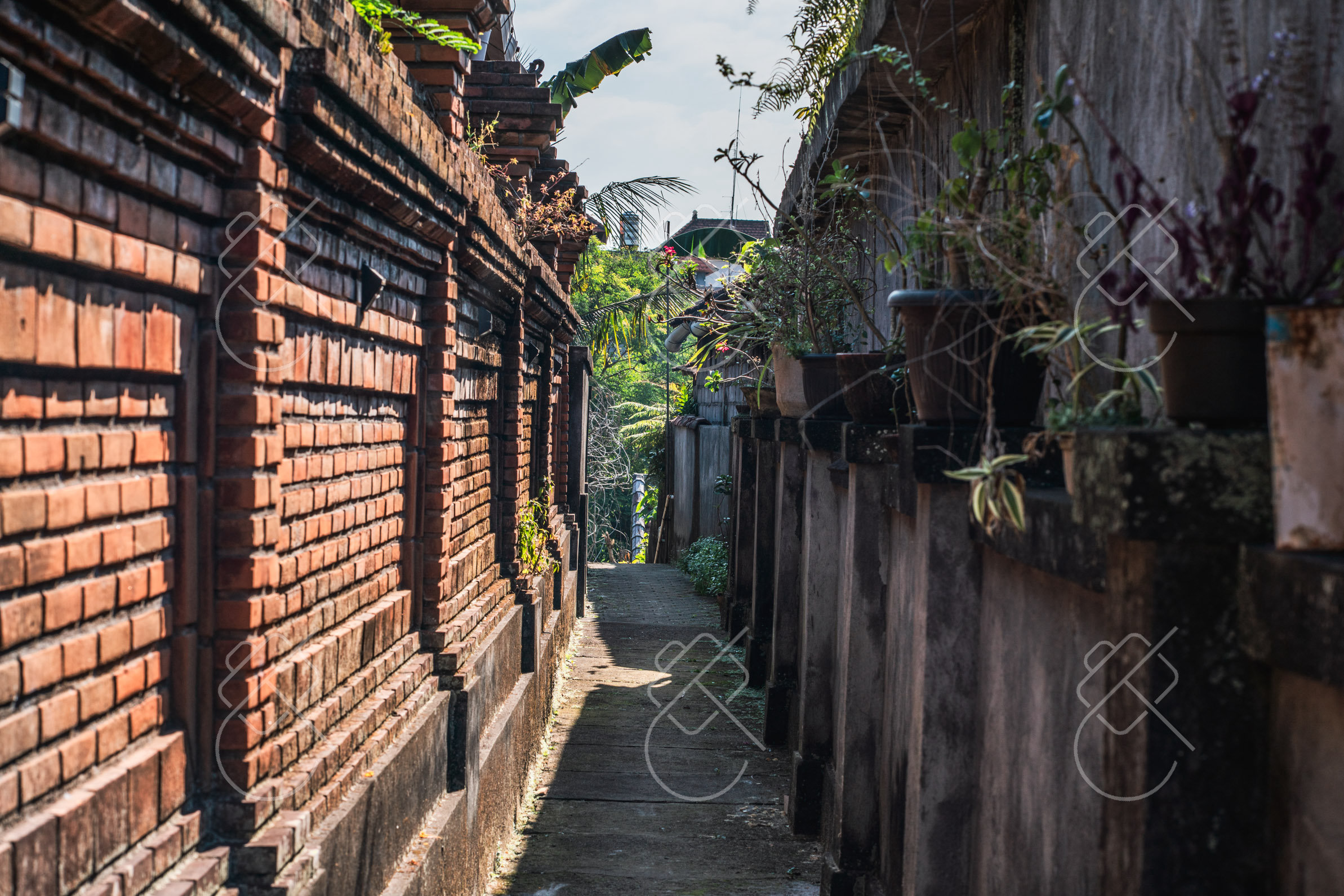 Ubud, Indonesia, May 2023