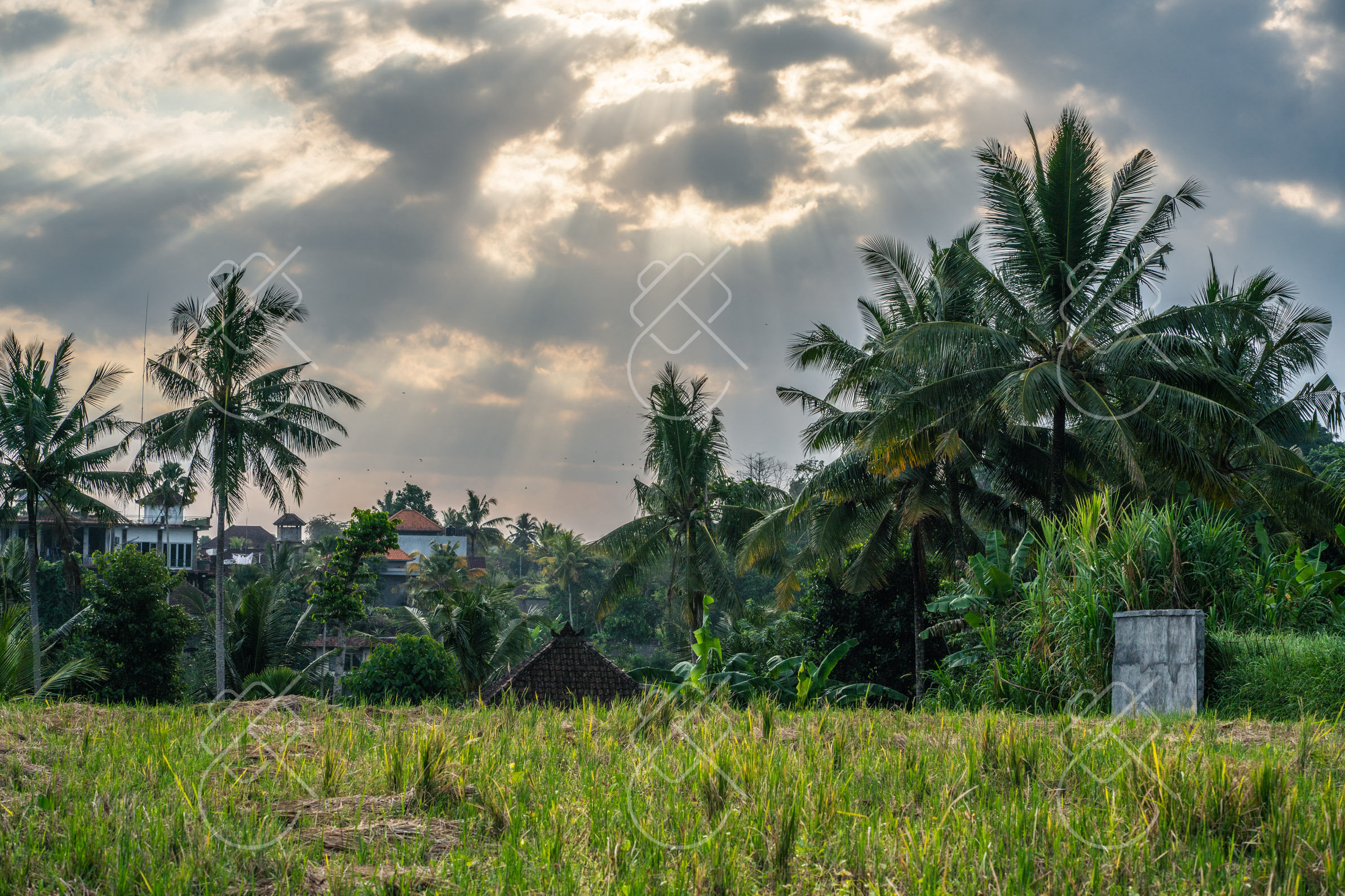 Ubud, Indonesia, May 2023
