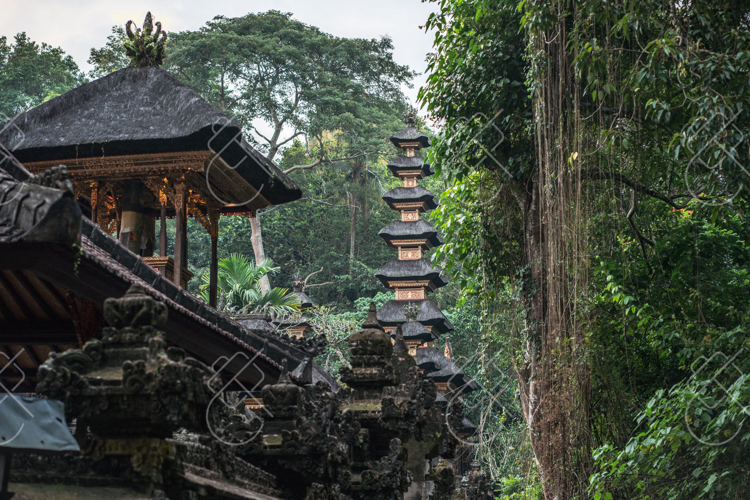 Ubud, Indonesia — travel photograph, May 2023