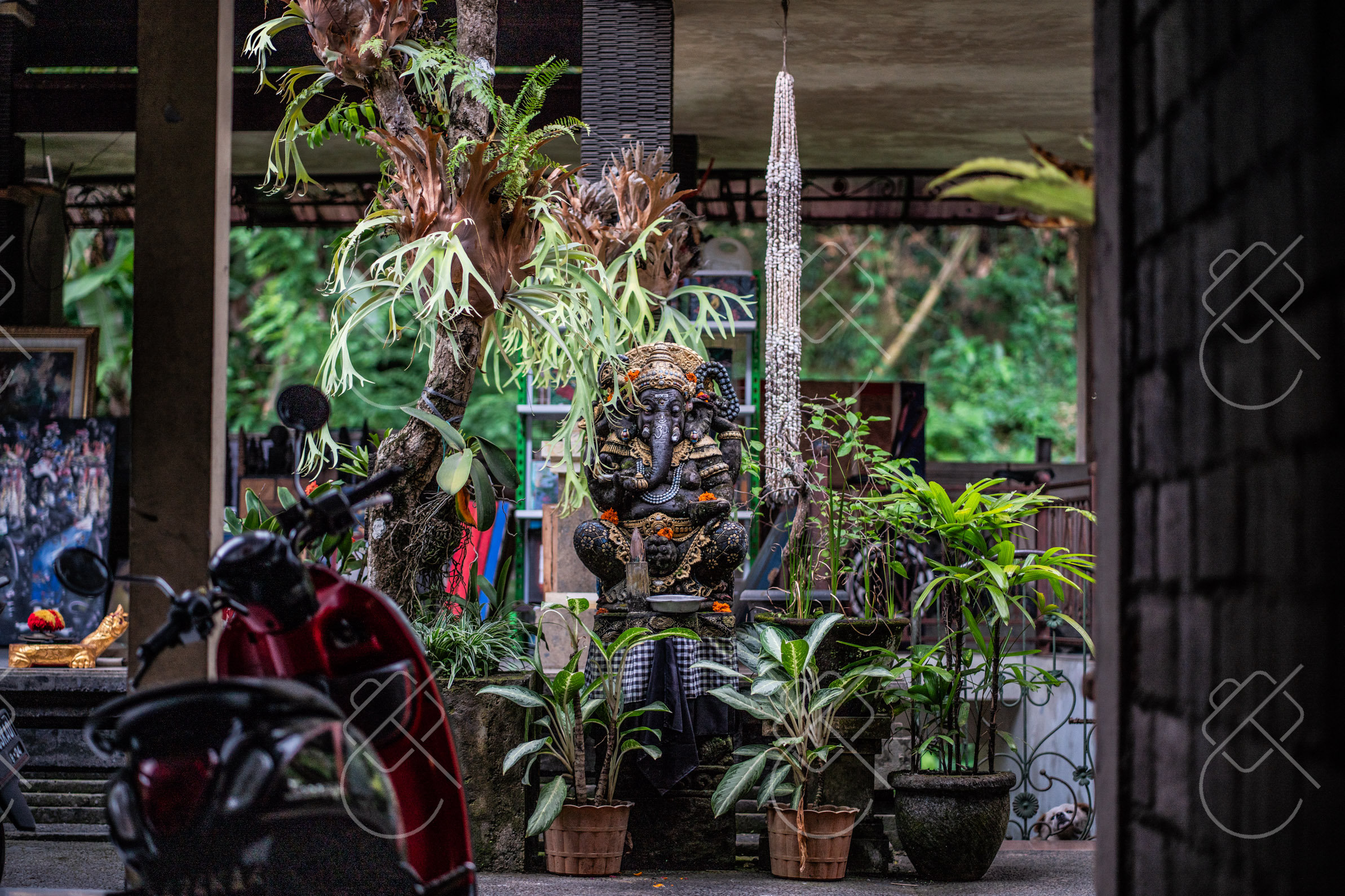 Ubud, Indonesia, May 2023