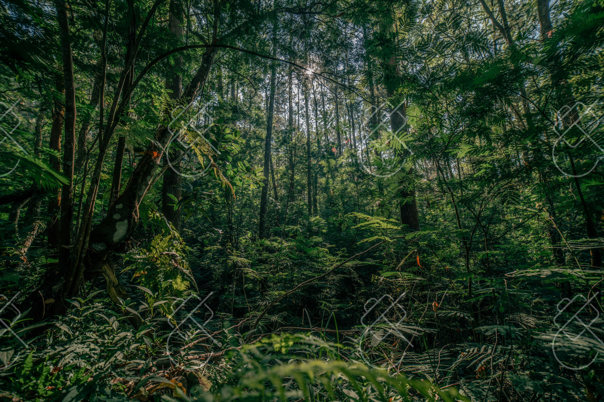 Kintamani, Indonesia, May 2023