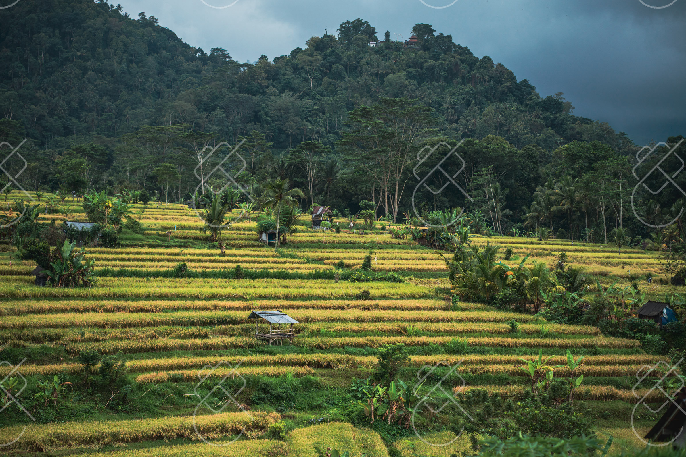 View & buy this print Sidemen: the part of the trip with empty space