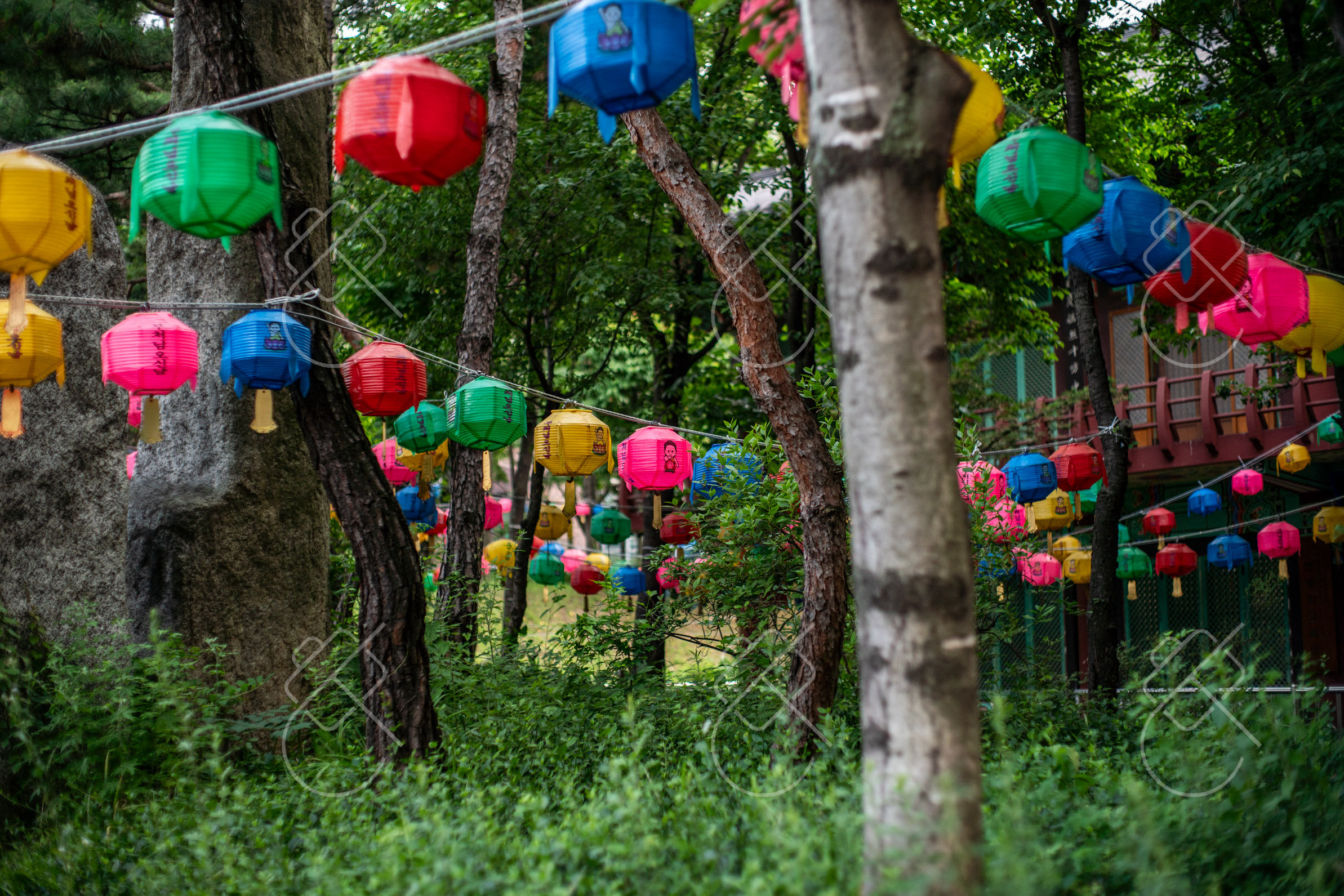 What to Wear in South Korea: Month-by-Month, Seoul Weather, Temples and the Rainy Season