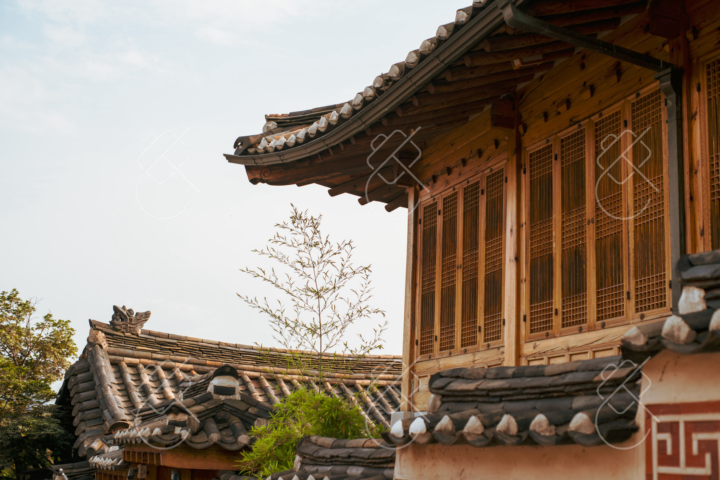 Seoul, South Korea, June 2023