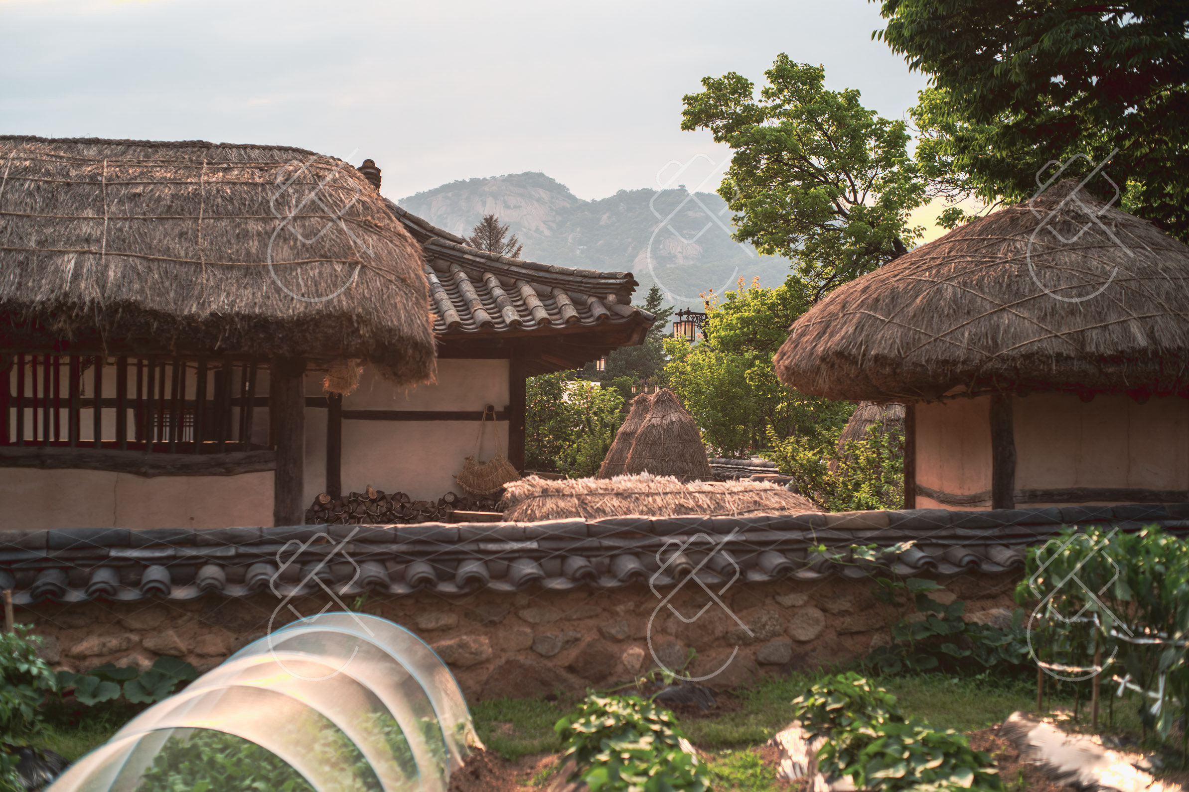 Seoul, South Korea, June 2023