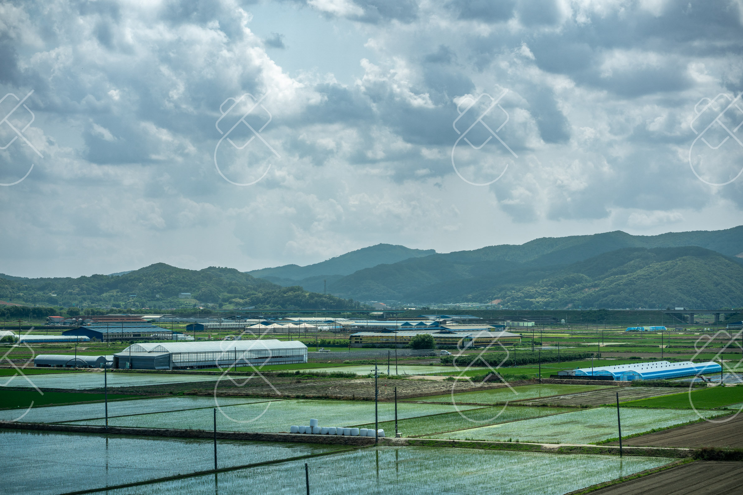 Jeonju, South Korea, June 2023