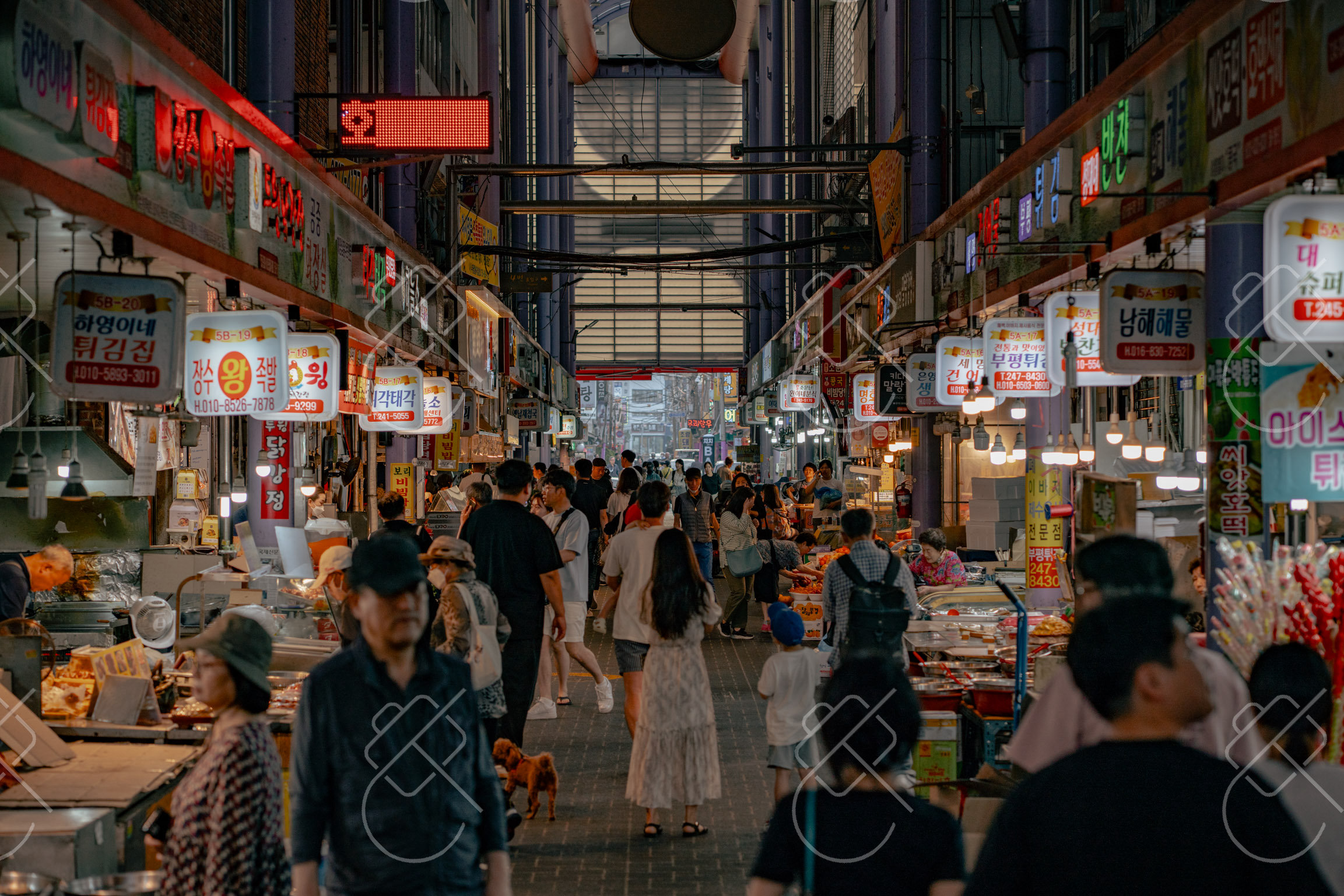 Busan, South Korea, June 2023