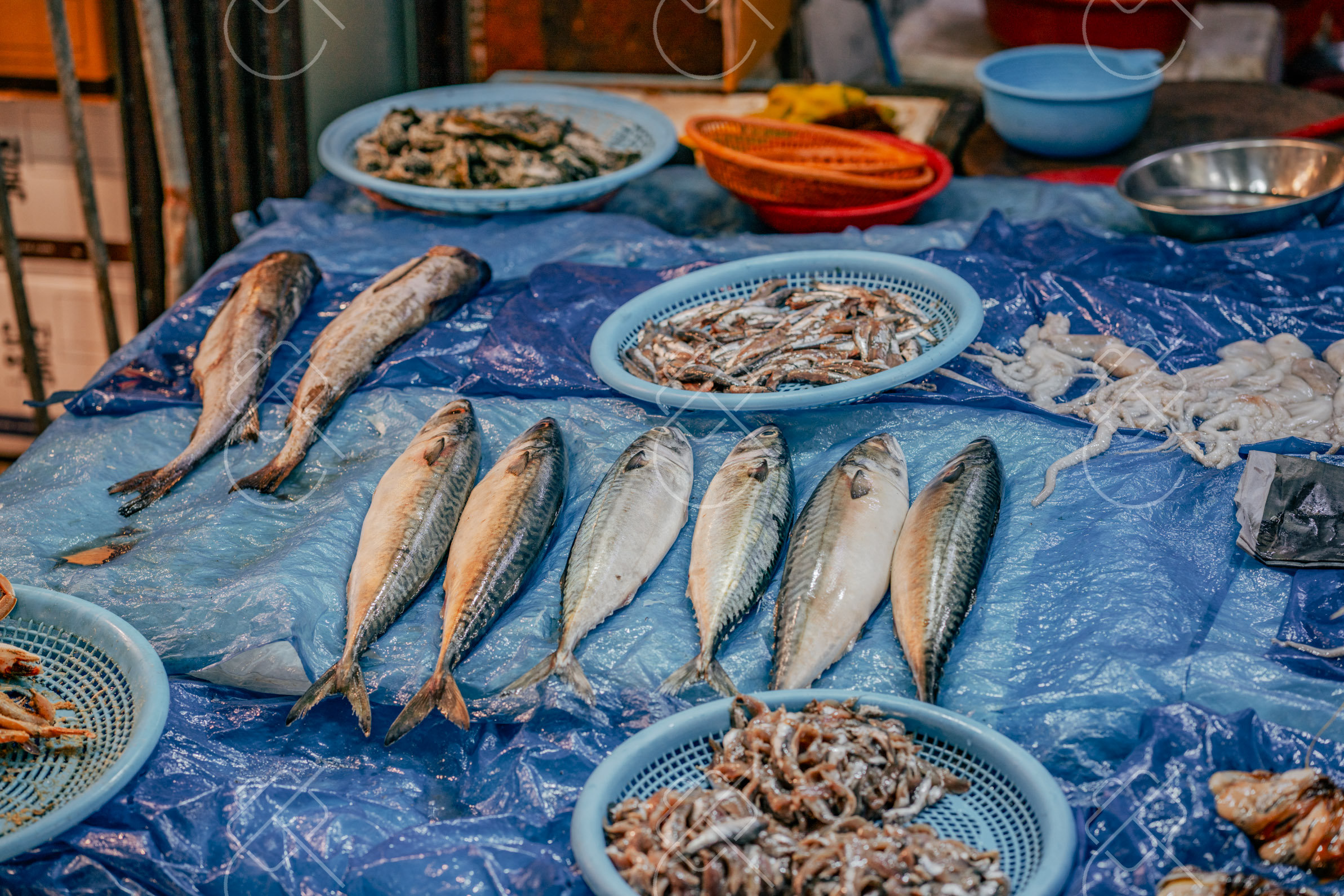 Busan, South Korea, June 2023