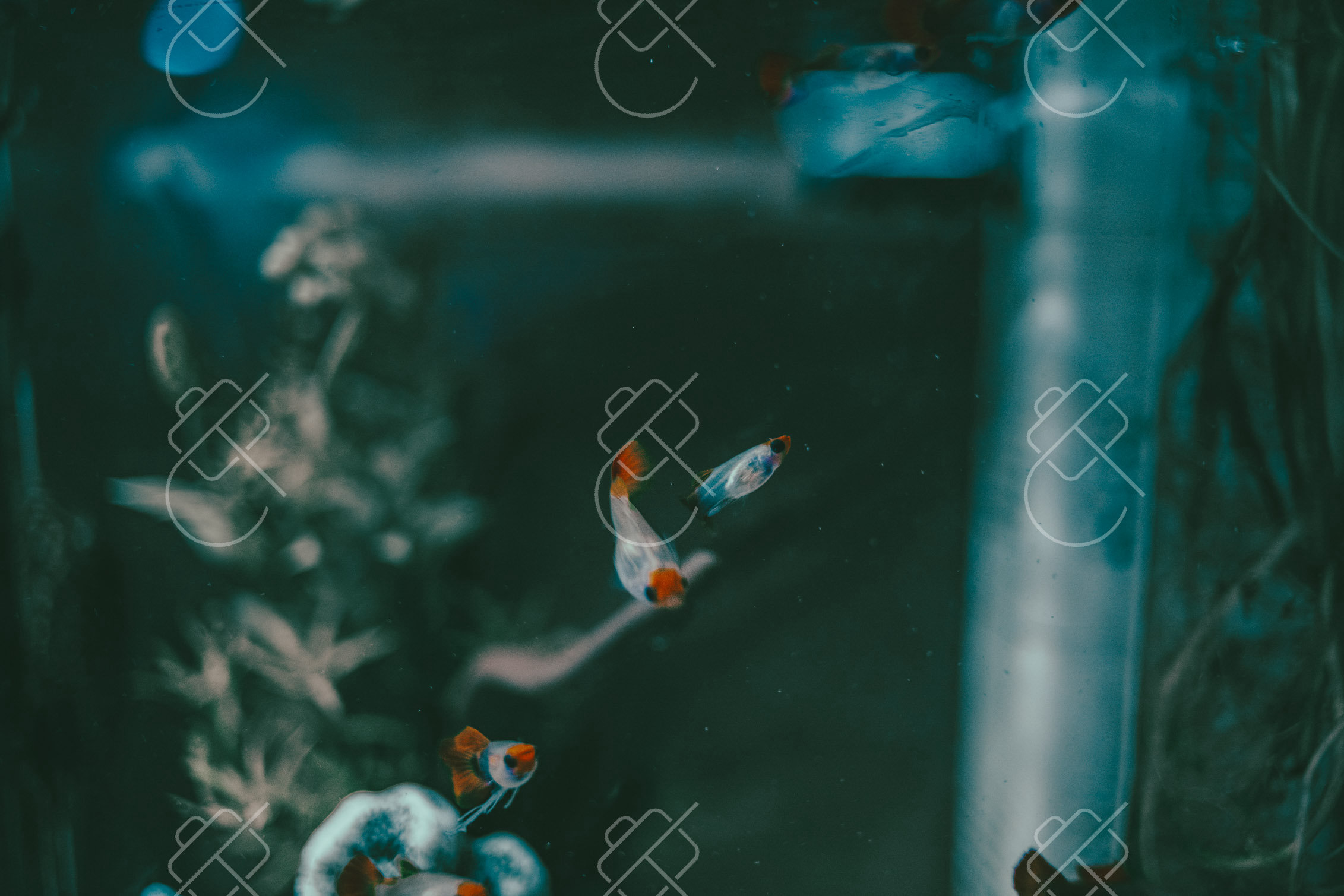 Sokcho, South Korea — travel photograph, July 2023