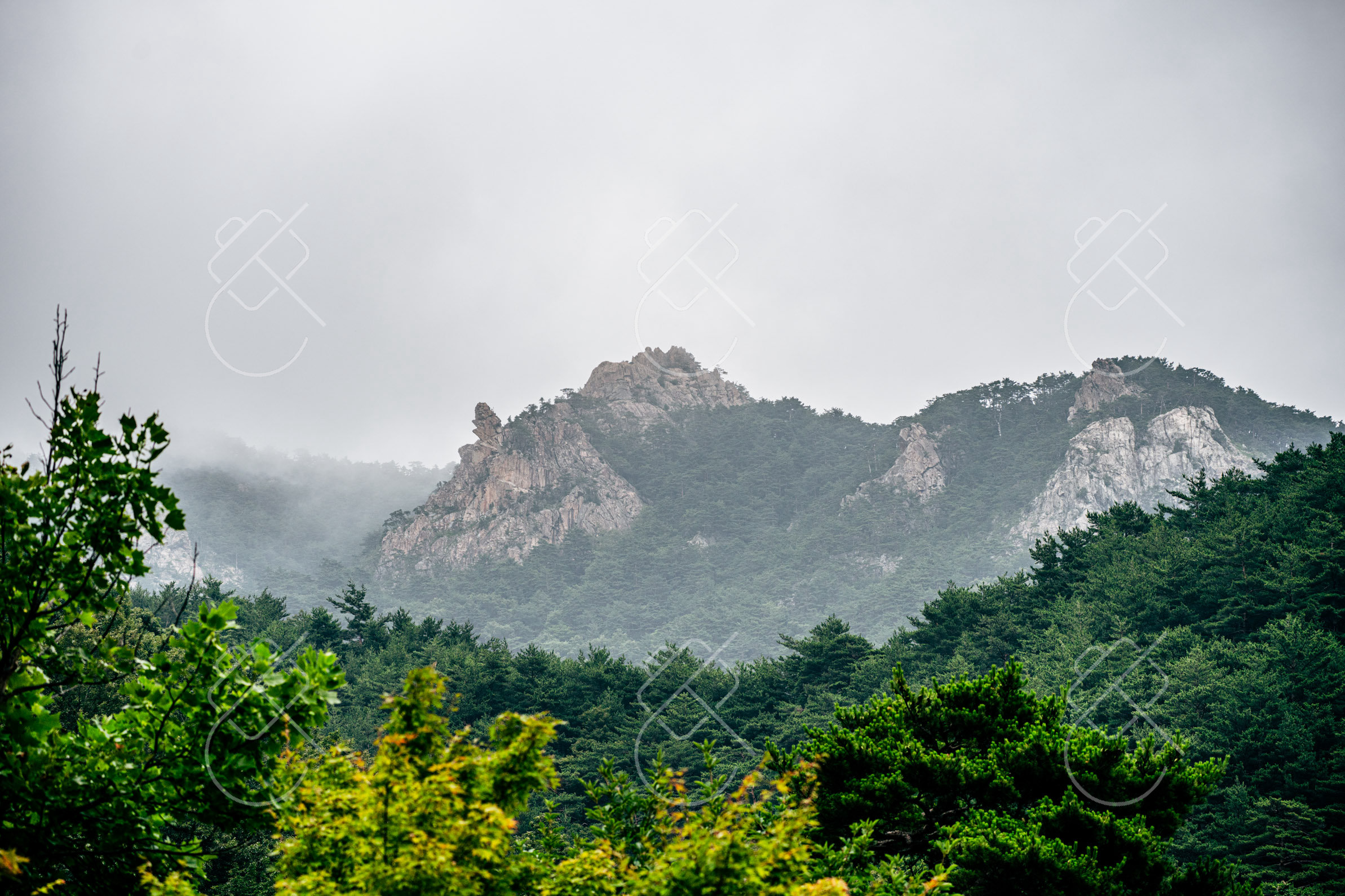 South Korea