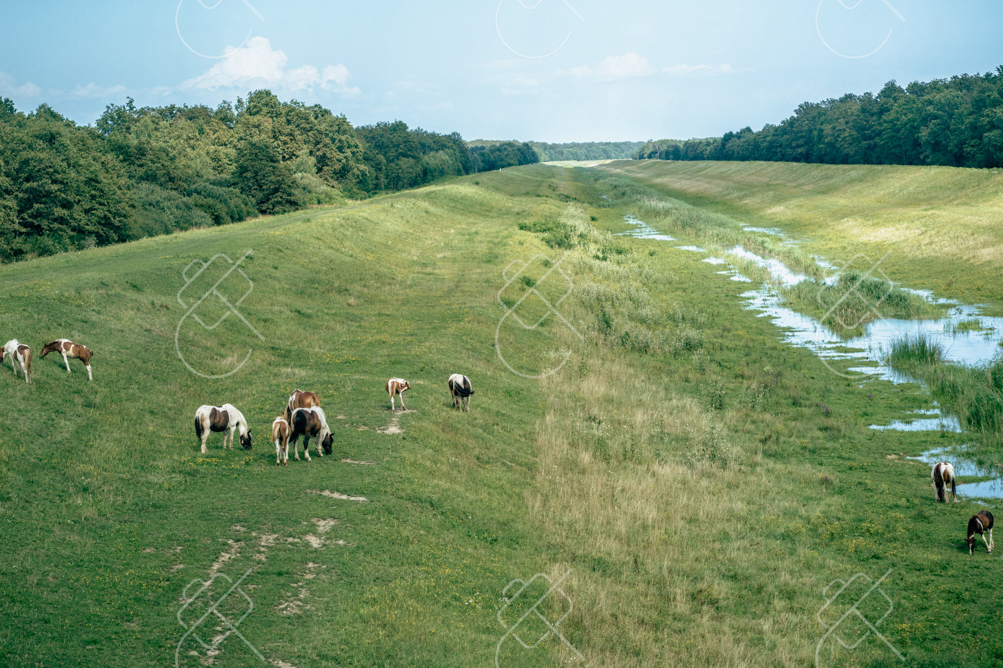 Zagreb, Croatia, August 2023