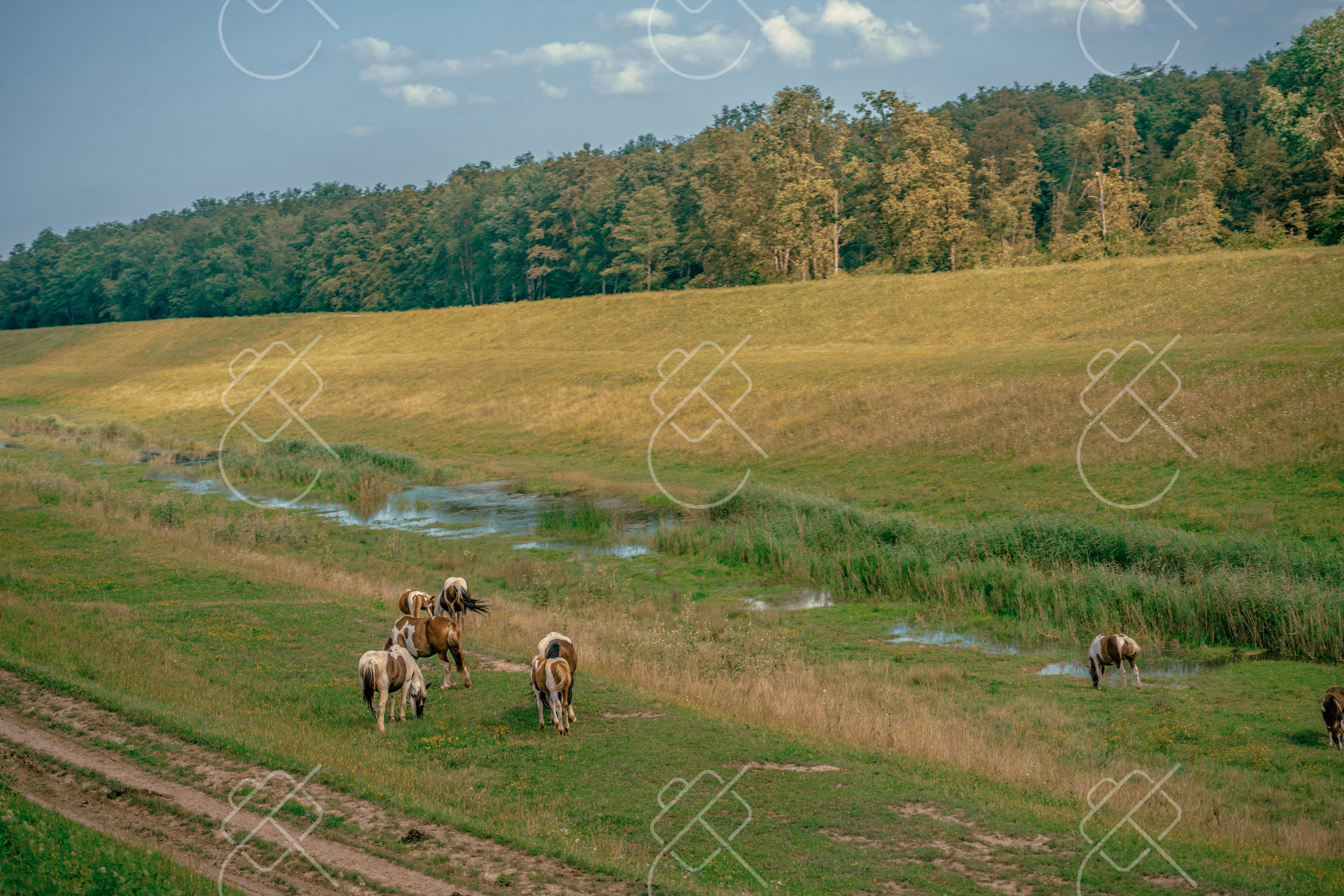 Zagreb, Croatia, August 2023